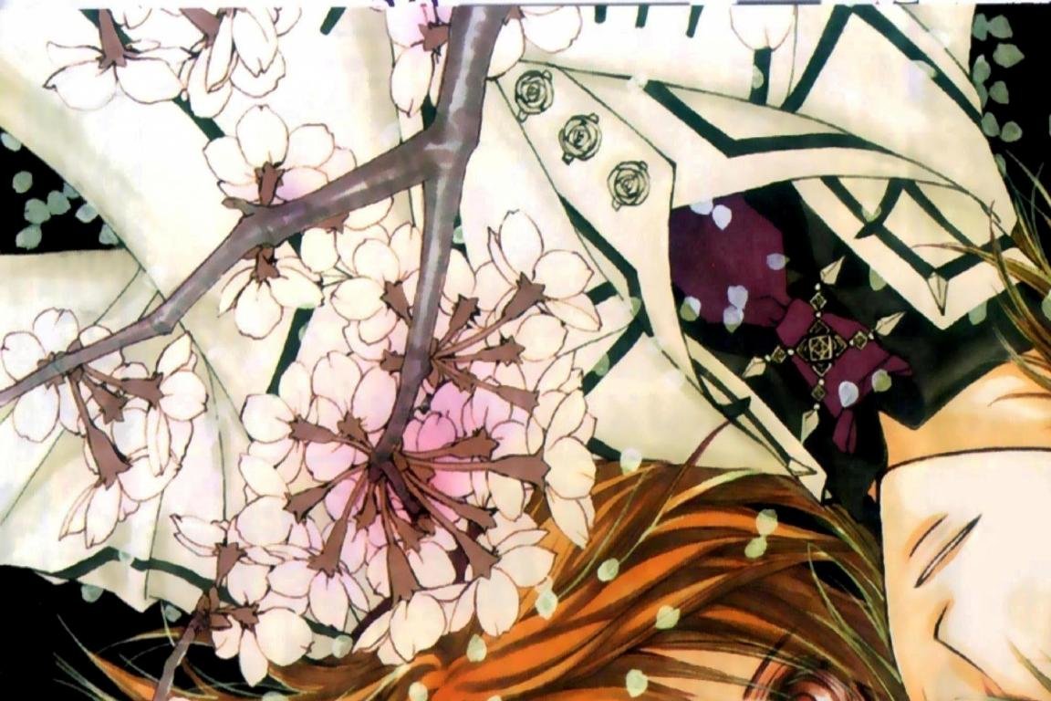 High Resolution Vampire Knight Hd Wallpaper Id - Kaname Kuran - HD Wallpaper 