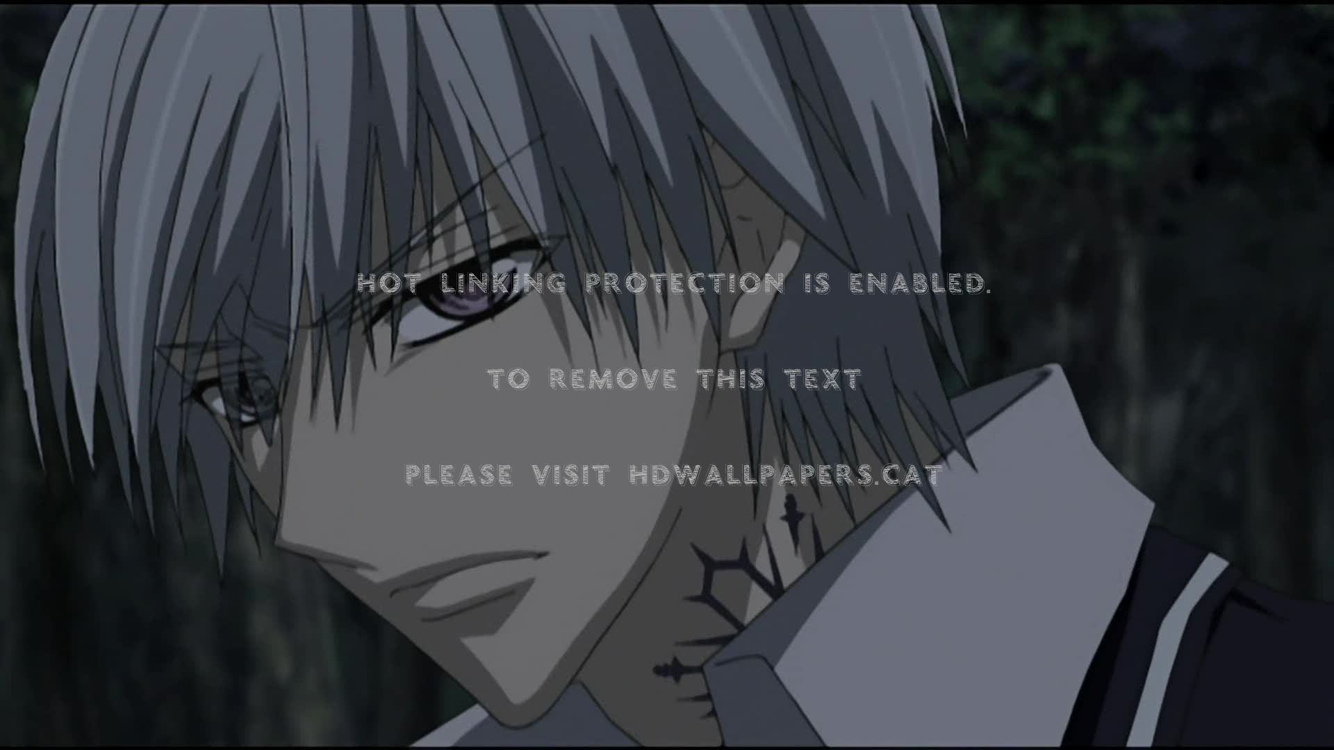 Zero Kiryu Anime Vampire Knight Manga - Anime - HD Wallpaper 