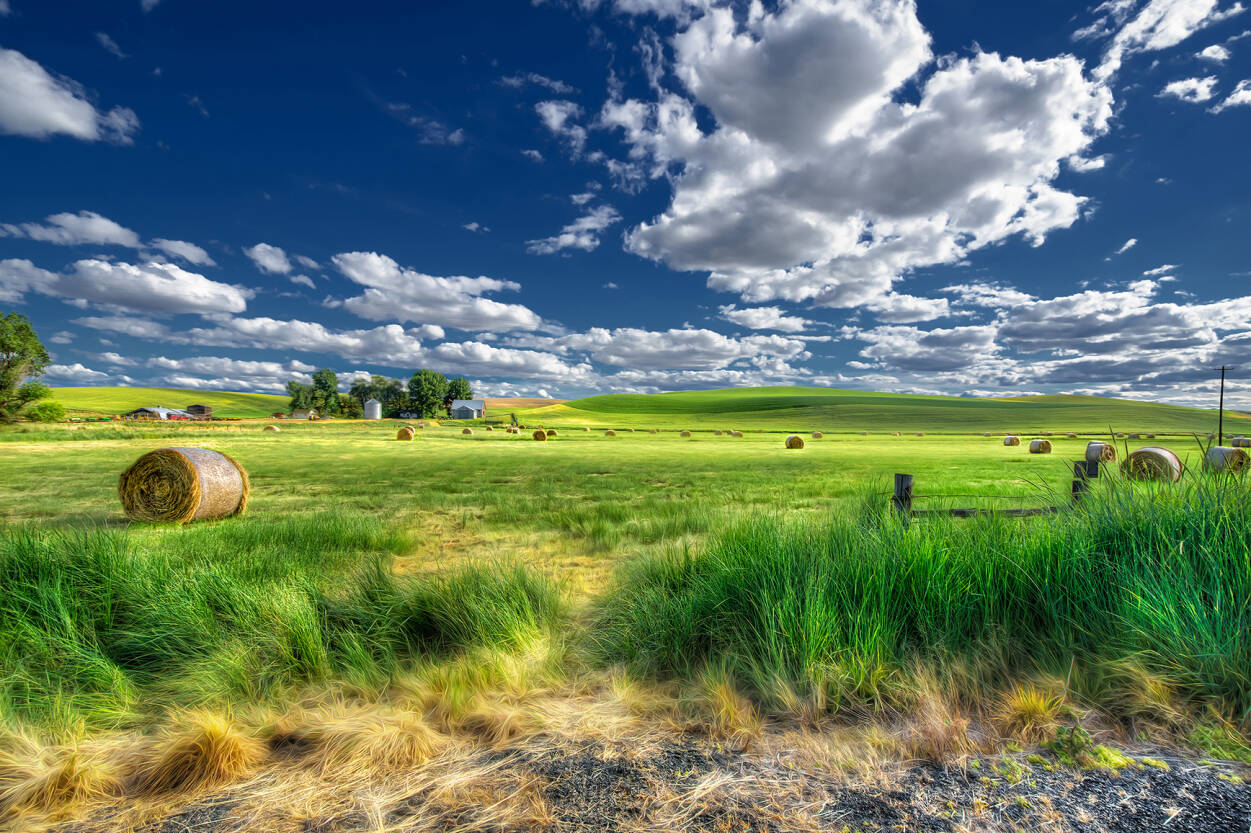 Architects Paper Photo Wallpaper Countryside - Grüne Landschaft - HD Wallpaper 