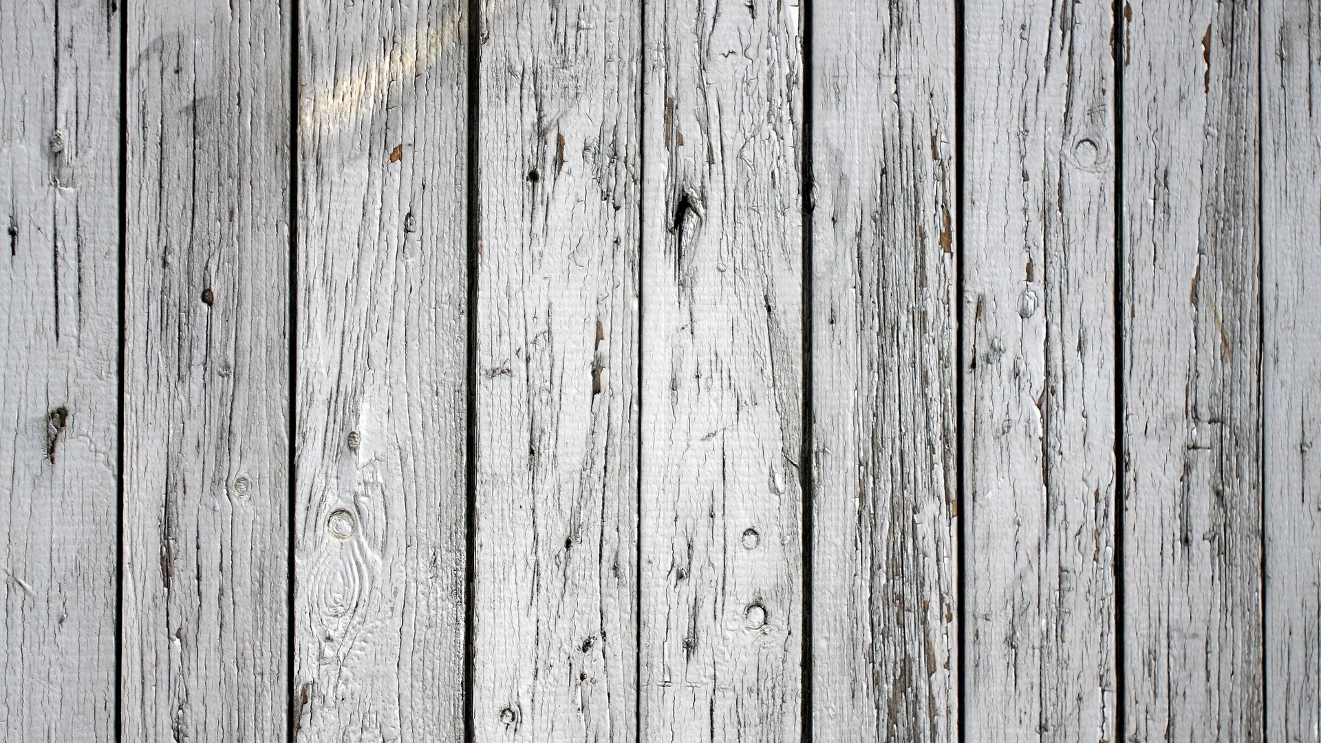Wood Pattern Texture Royalty Wallpaper - White Wood - HD Wallpaper 