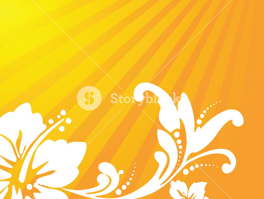 Floral Background - HD Wallpaper 