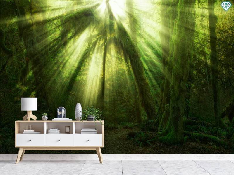 Photo Wallpaper The Miracle - Background Interior Design Wall Darker - HD Wallpaper 