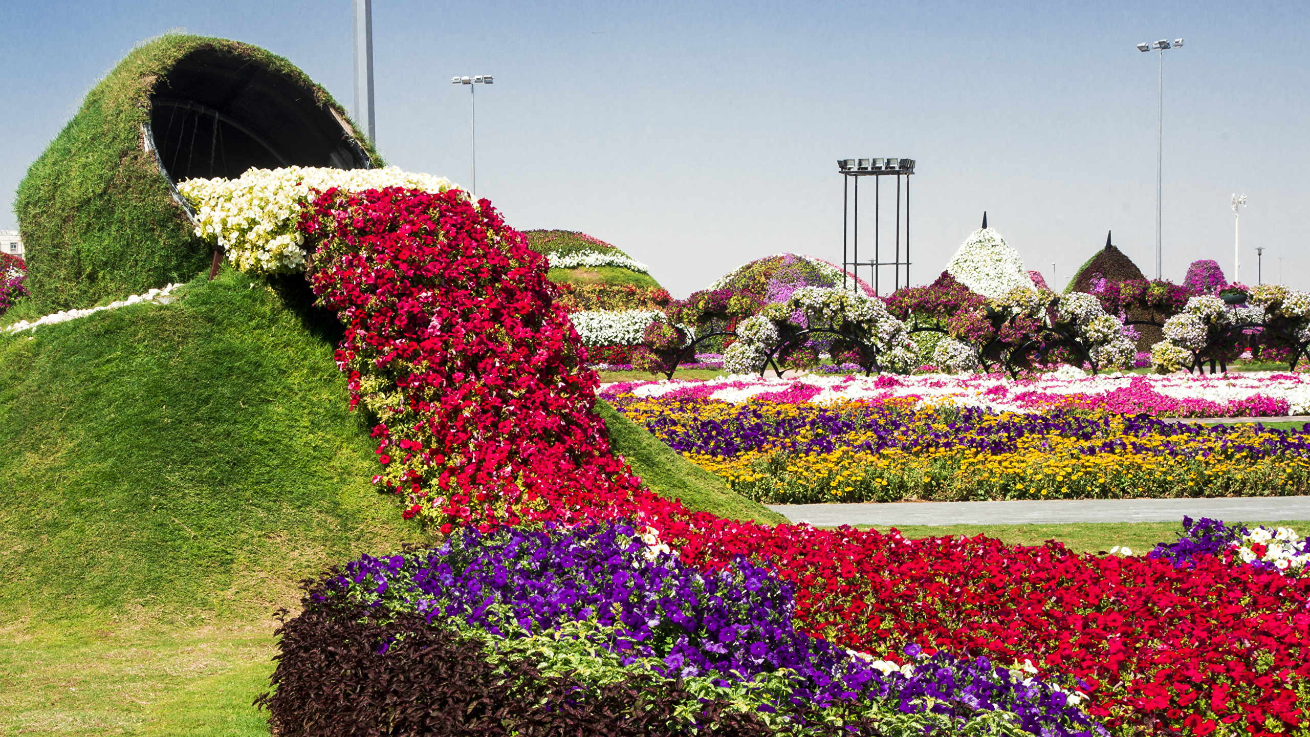Full Hd Dubai Miracle Garden Hd - 2560x1440 Wallpaper Full Hd Dubai Miracle Garden Hd - 2560x1440 Wallpaper