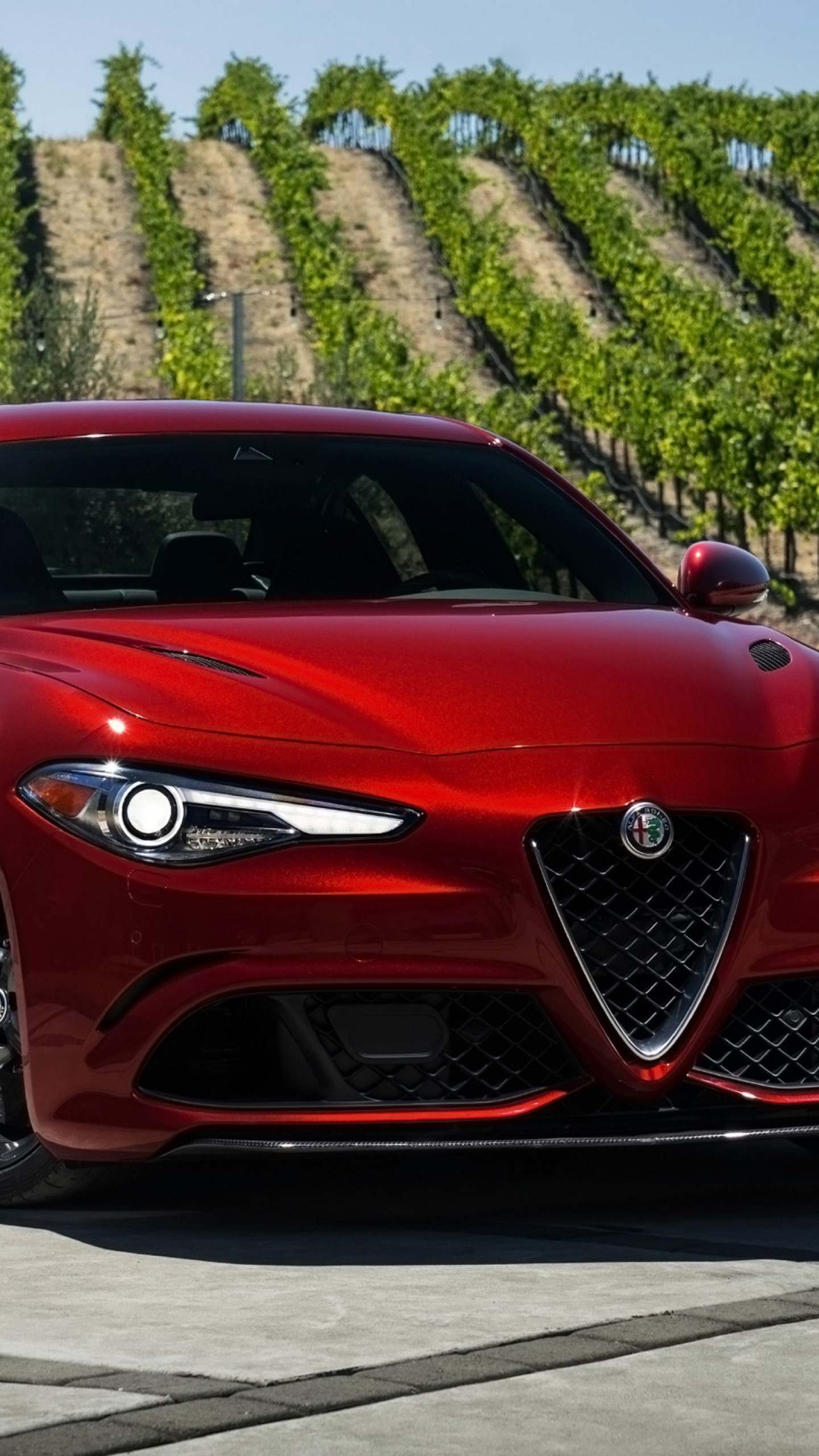 Alfa Romeo Giulia Wallpaper Iphone Design Corral