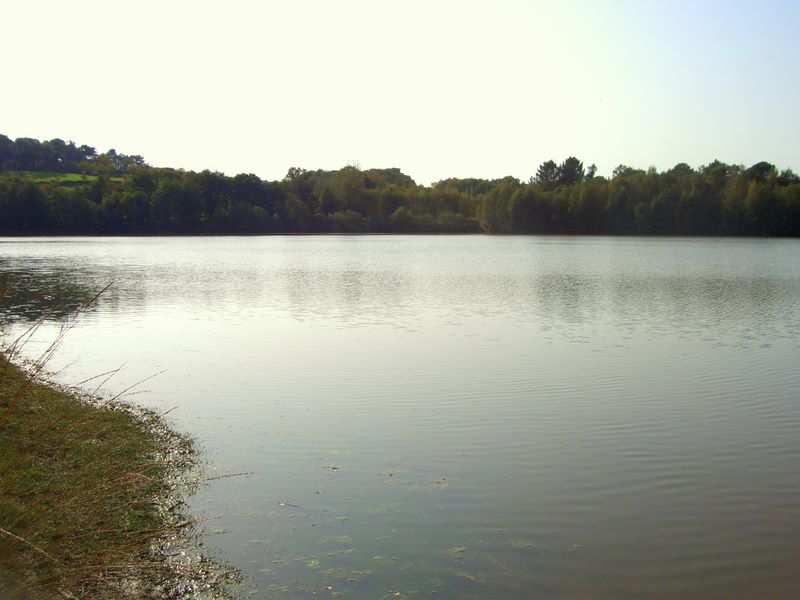 Carpfishing Source Http In France Gallery Carp Fishing - Loch - HD Wallpaper 