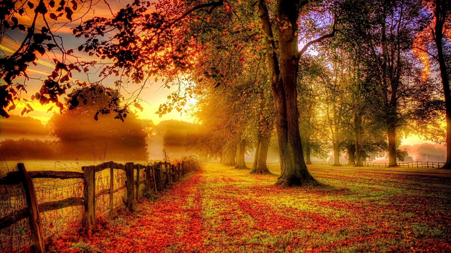 Herbst Wallpaper 
 Data-src /w/full/4/8/2/36978 - Autumn Fb Covers - HD Wallpaper 