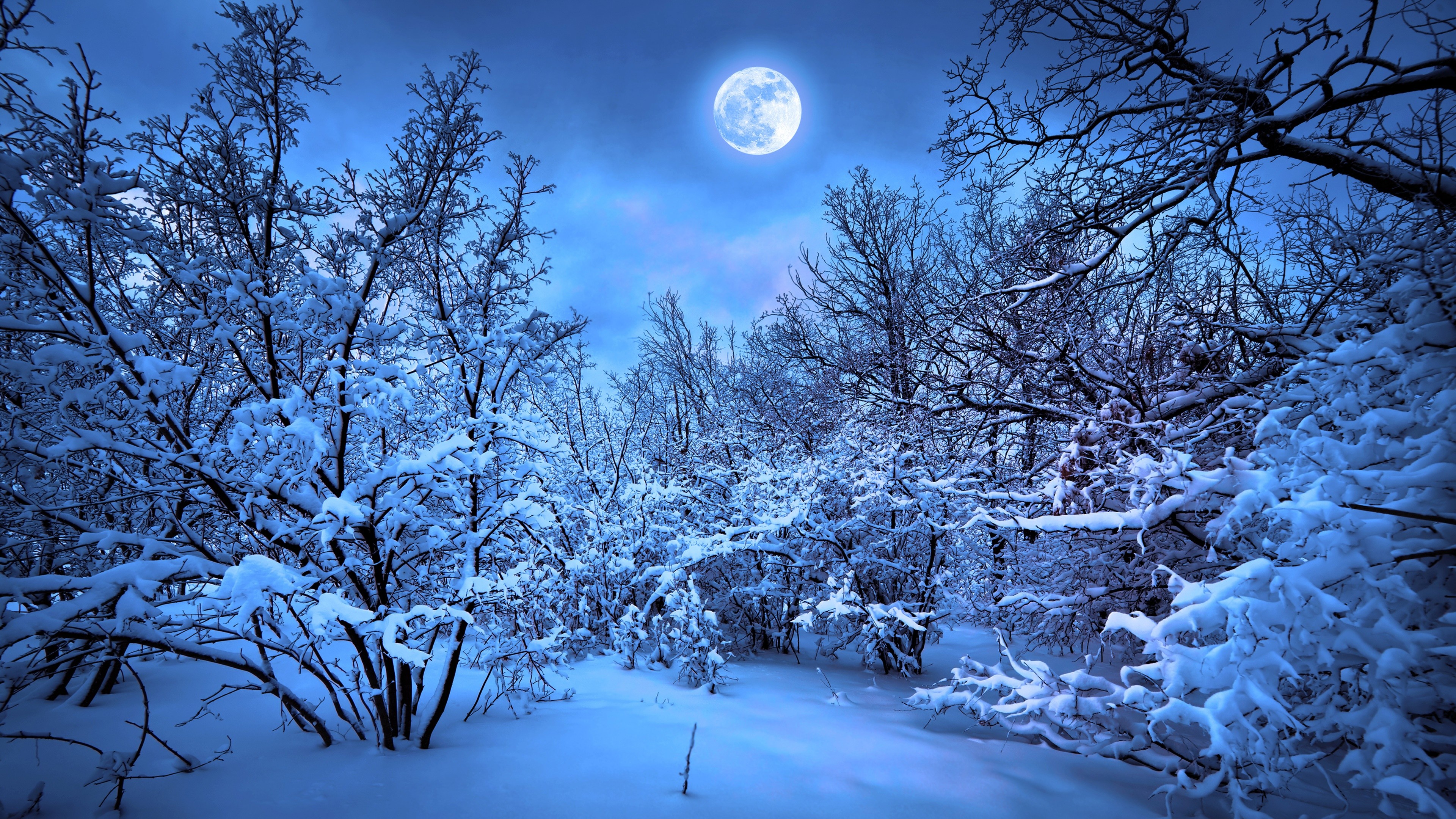 Mond Wallpaper 
 Data-src /w/full/1/d/b/47023 - Winter Background - HD Wallpaper 