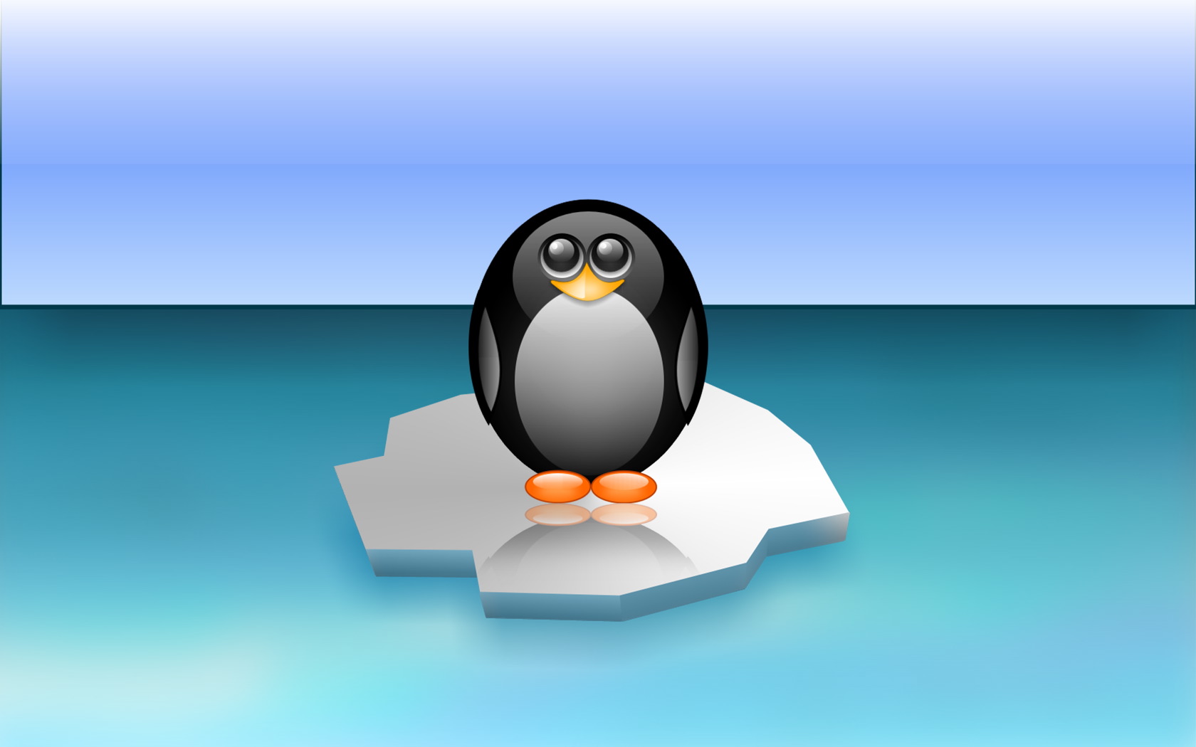 Anime Penguin Wallpaper - Cute Penguin - HD Wallpaper 