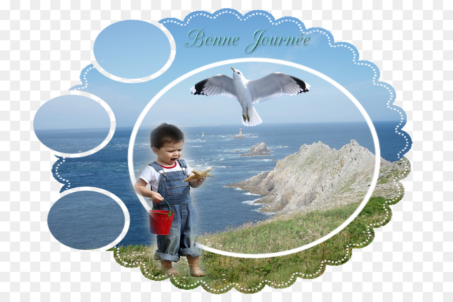 Desktop Wallpaper Fauna Wasser Urlaub Tourismus - Vacation - HD Wallpaper 