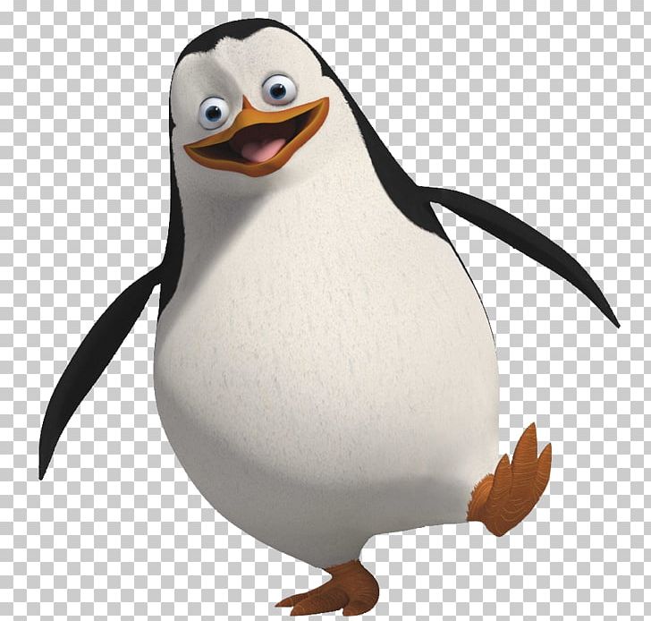 Penguin Madagascar Png, Clipart, Animals, Beak, Bird, - Happy Feet Penguin Png - HD Wallpaper 