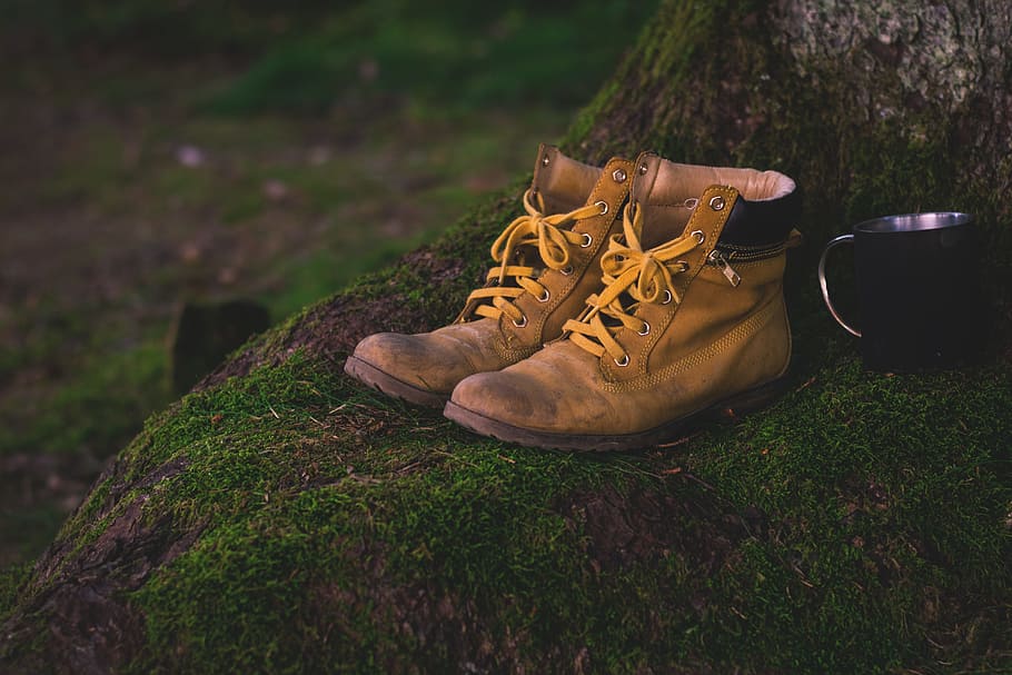 Pair Of Brown Timberland Leather Boots On Tree Base, - Timberland Field Trekker Waterproof Boots On Feet - HD Wallpaper 