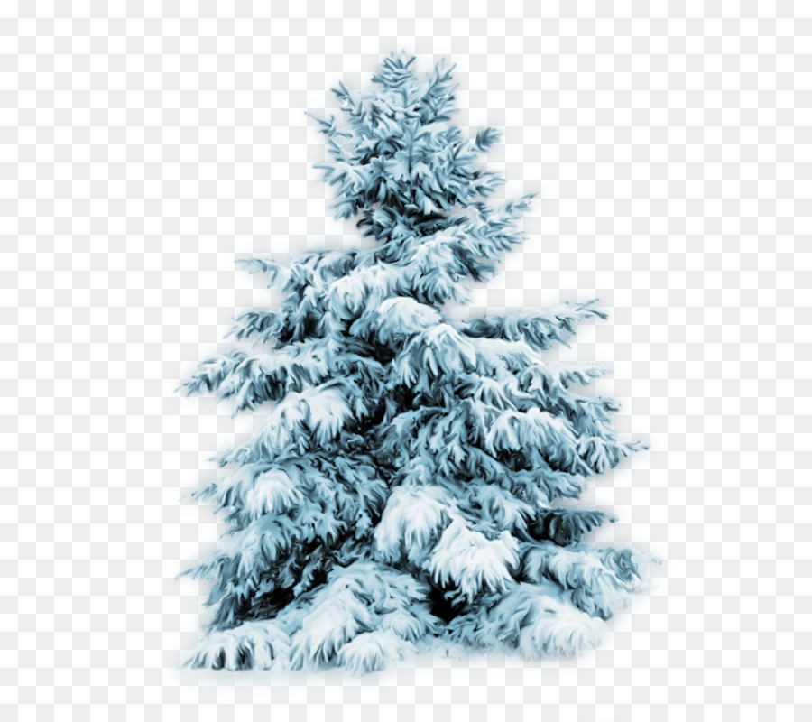 Weihnachts-baum Desktop Wallpaper Tanne Urlaub - Transparent Christmas Tree With Snow - HD Wallpaper 