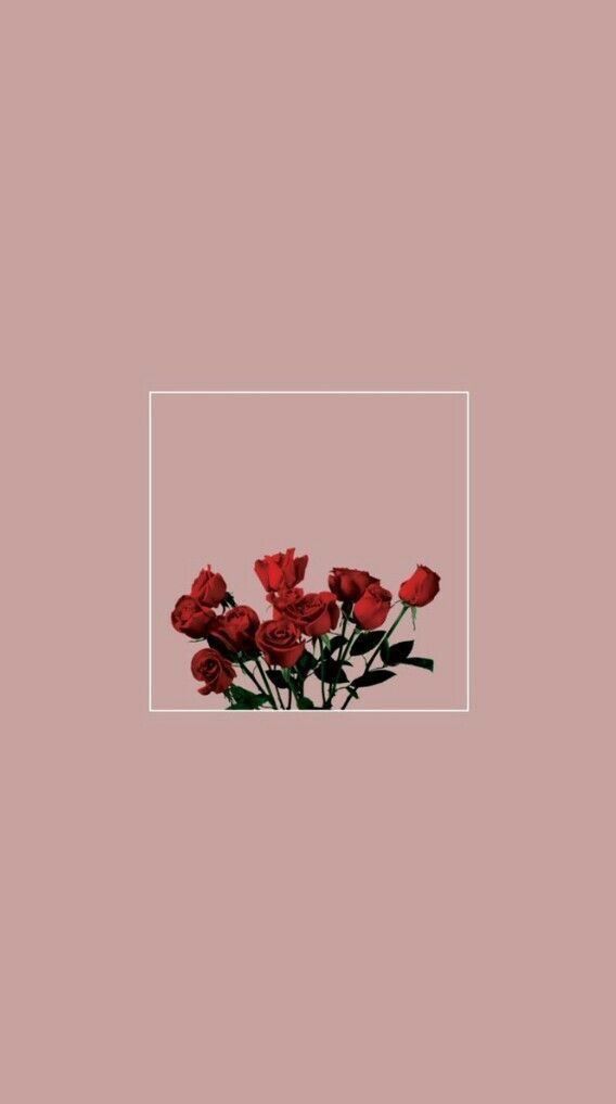 Aesthetic Wallpaper Rose - 568x1017 Wallpaper Aesthetic Wallpaper Rose - 568x1017 Wallpaper