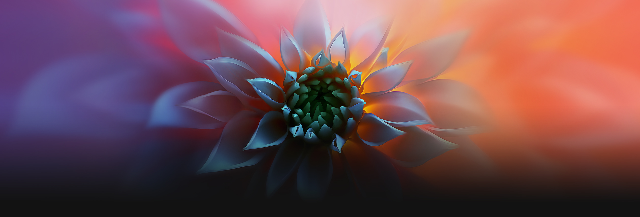 Pixelmator Flower Обои - HD Wallpaper 