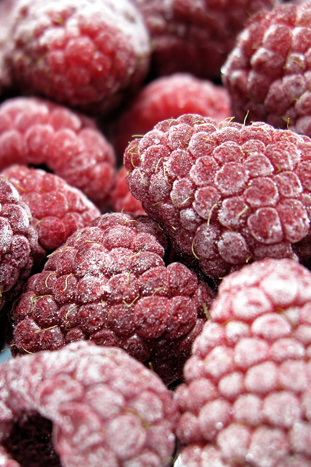 Com Apple Wallpaper Frozen-berry Iphone4 - Technology In Food Preservation - HD Wallpaper 