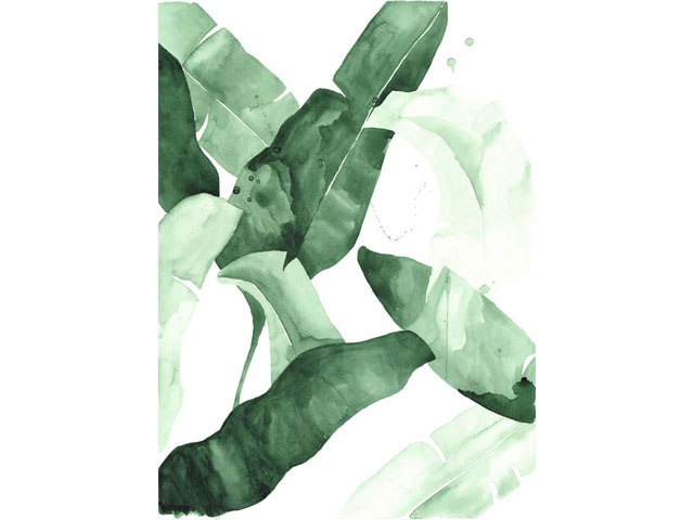 Beverly 2 Banana Leaf Tropical Watercolor Print Green - Watercolor Banana Leaf Diy - HD Wallpaper 