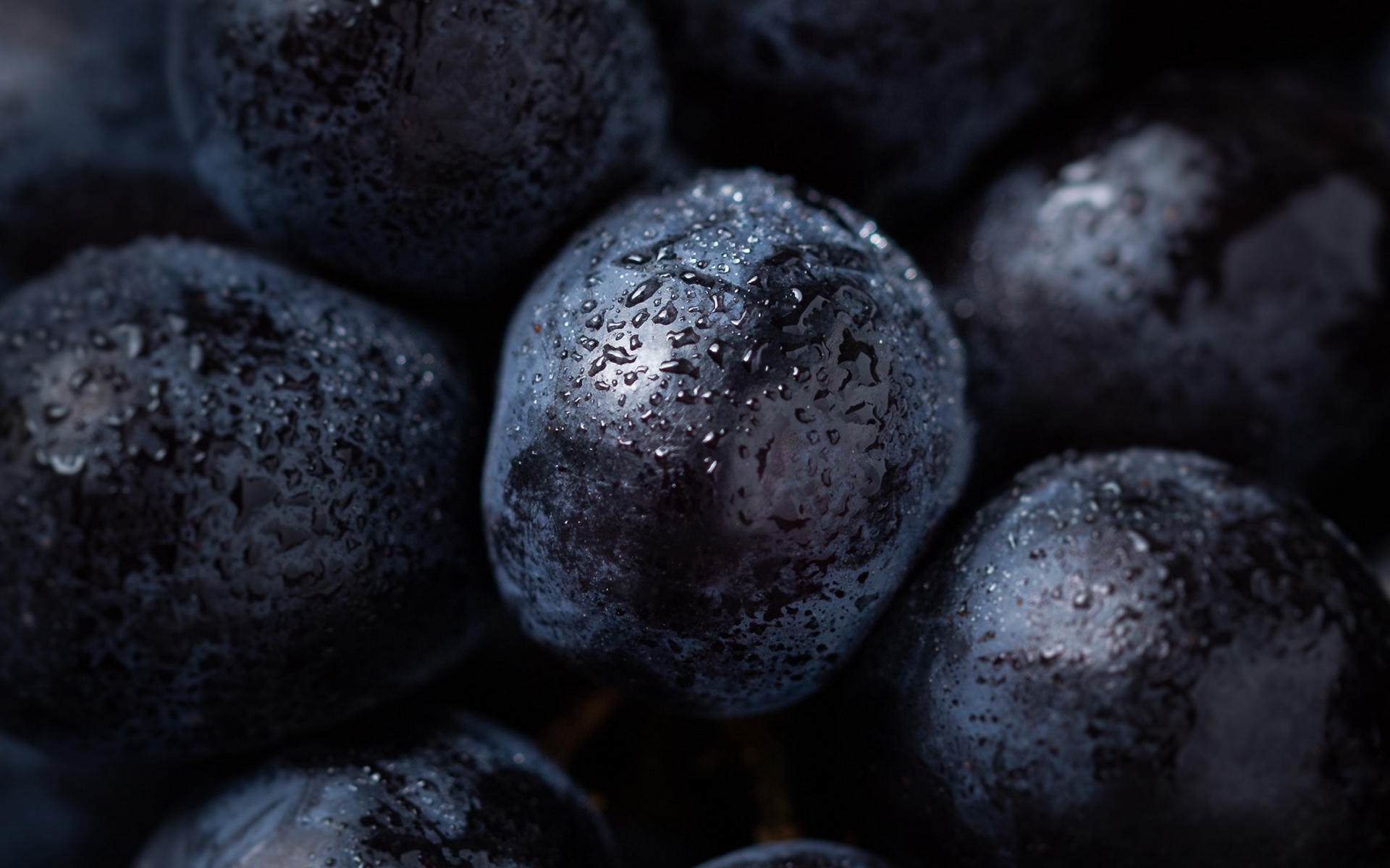 Black Grapes - HD Wallpaper 