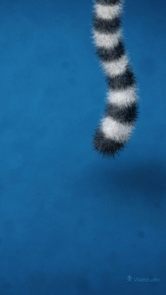 Caterpillar - HD Wallpaper 