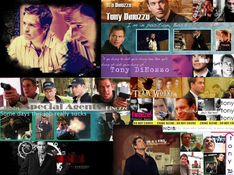 Tonywallpaper - Ncis - HD Wallpaper 