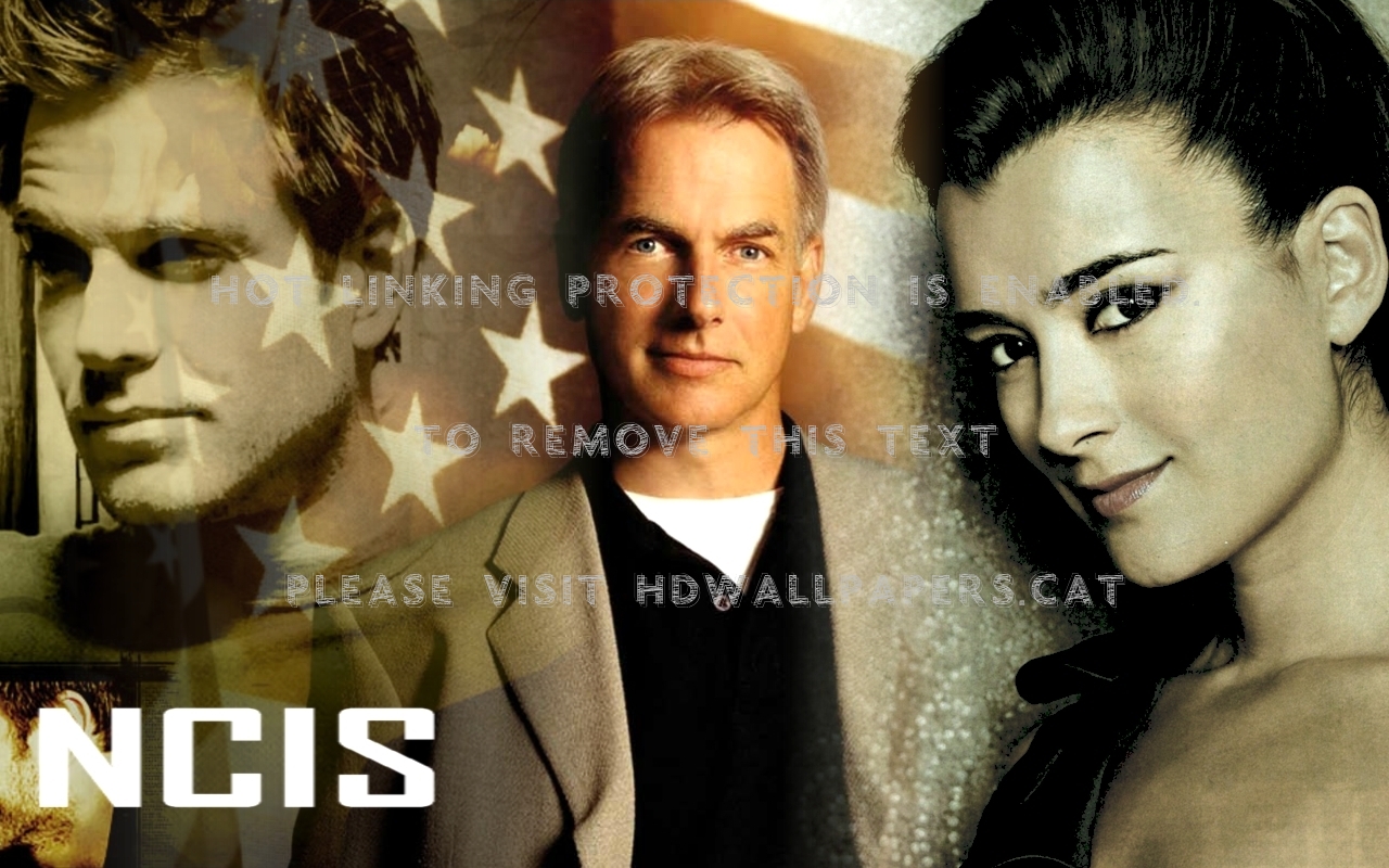Ncis Tony Dinozzo Jethro Gibbs Ziva David - Cote De Pablo Hot - HD Wallpaper 