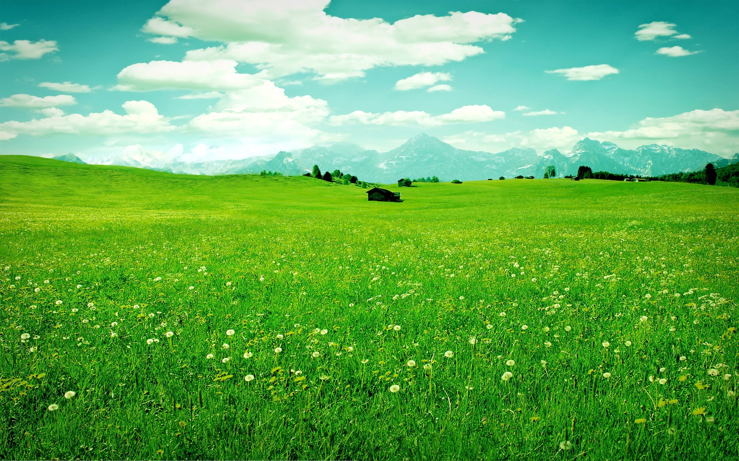 Green Field - High Resolution Hill Images Hd - HD Wallpaper 