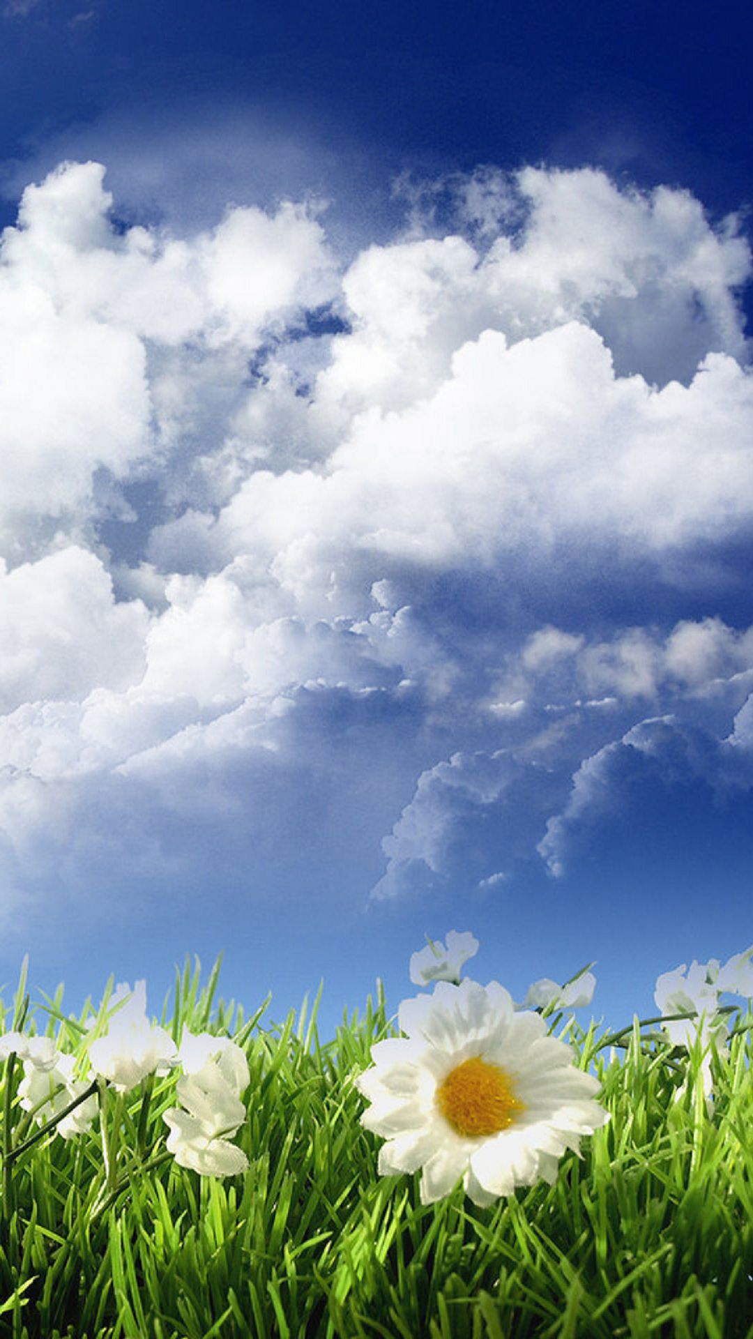 Flowers Green And White - HD Wallpaper 