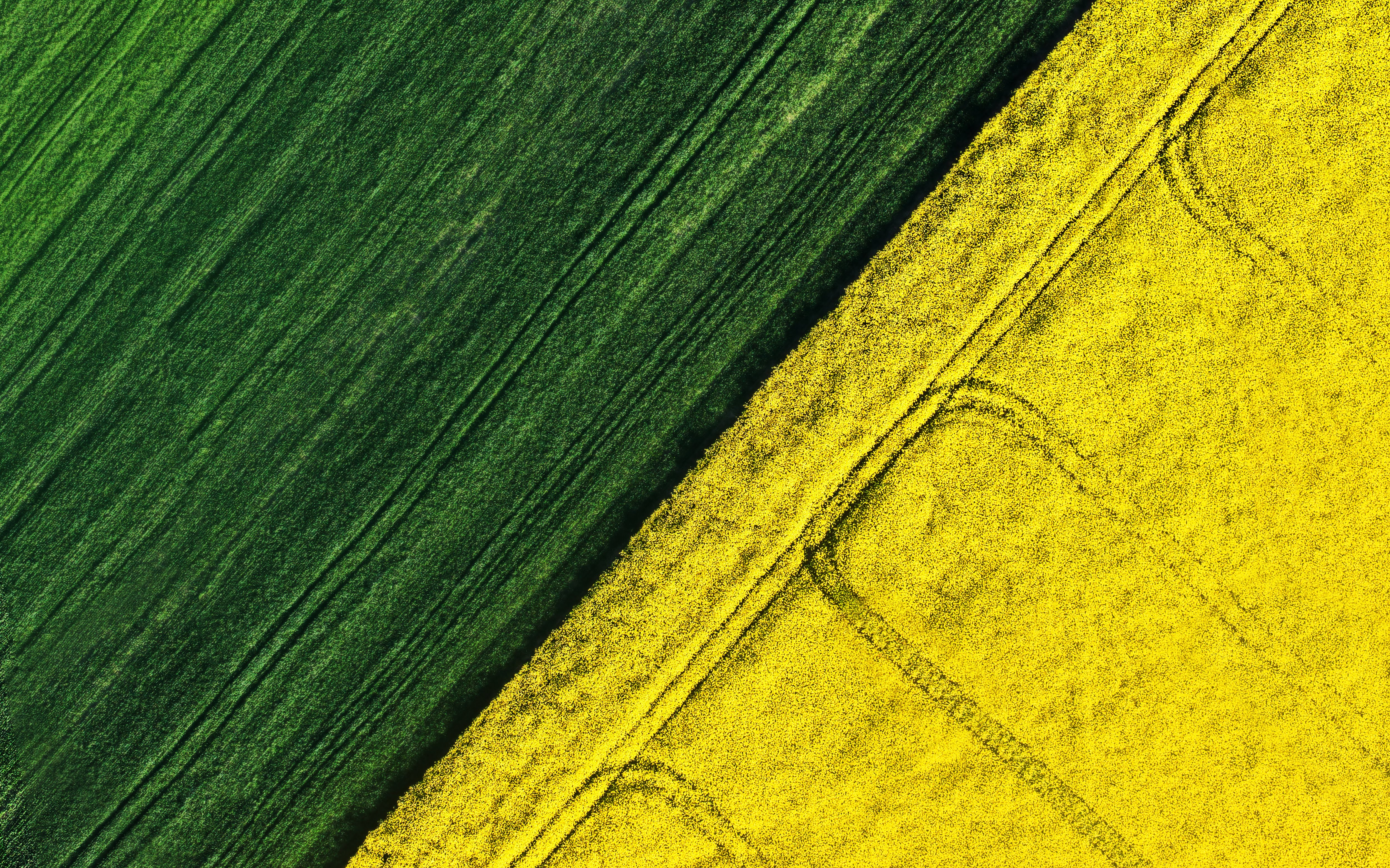 Green Field Wallpaper - HD Wallpaper 