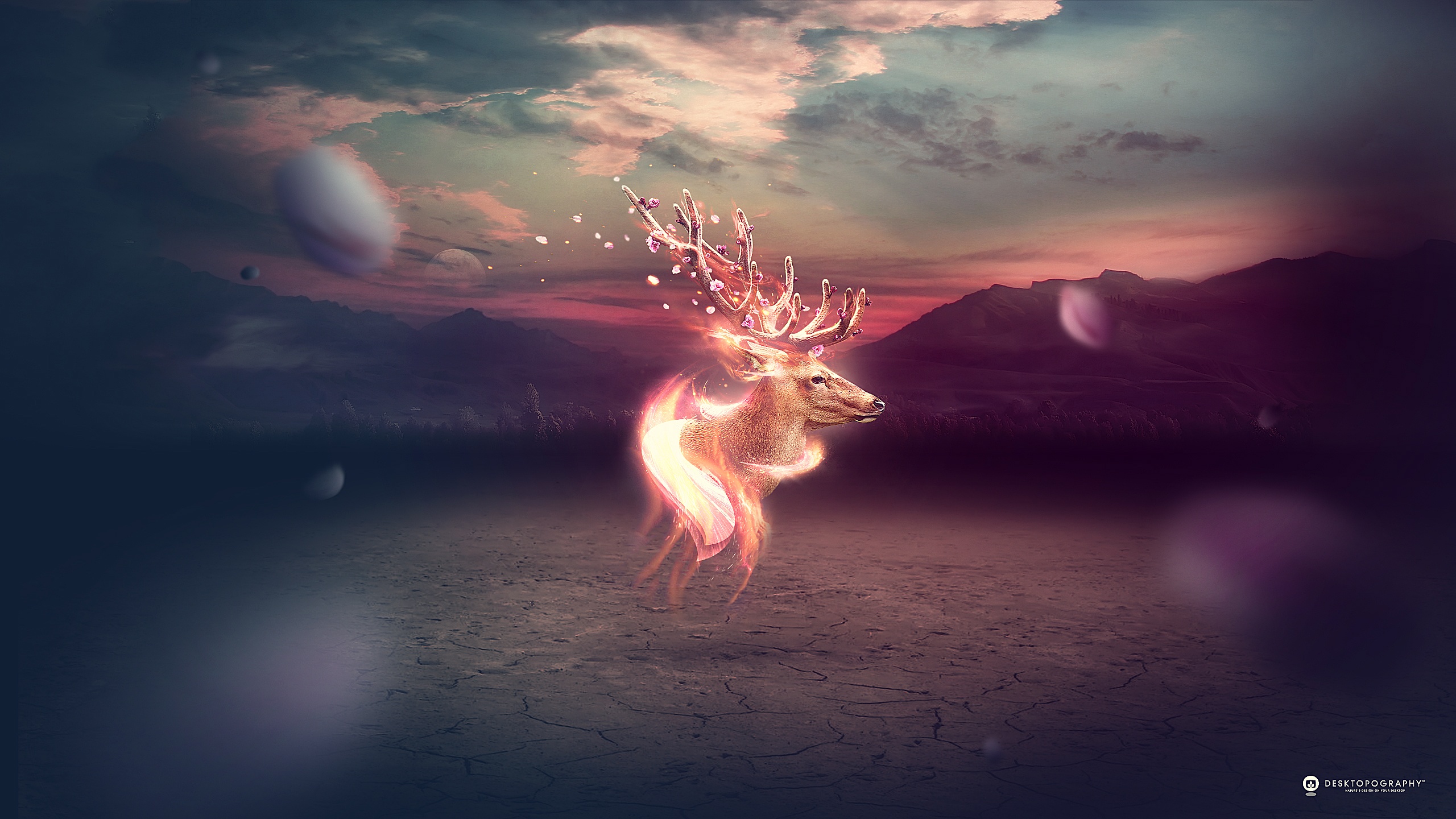 Deer Fantasy Wallpaper Hd - HD Wallpaper 