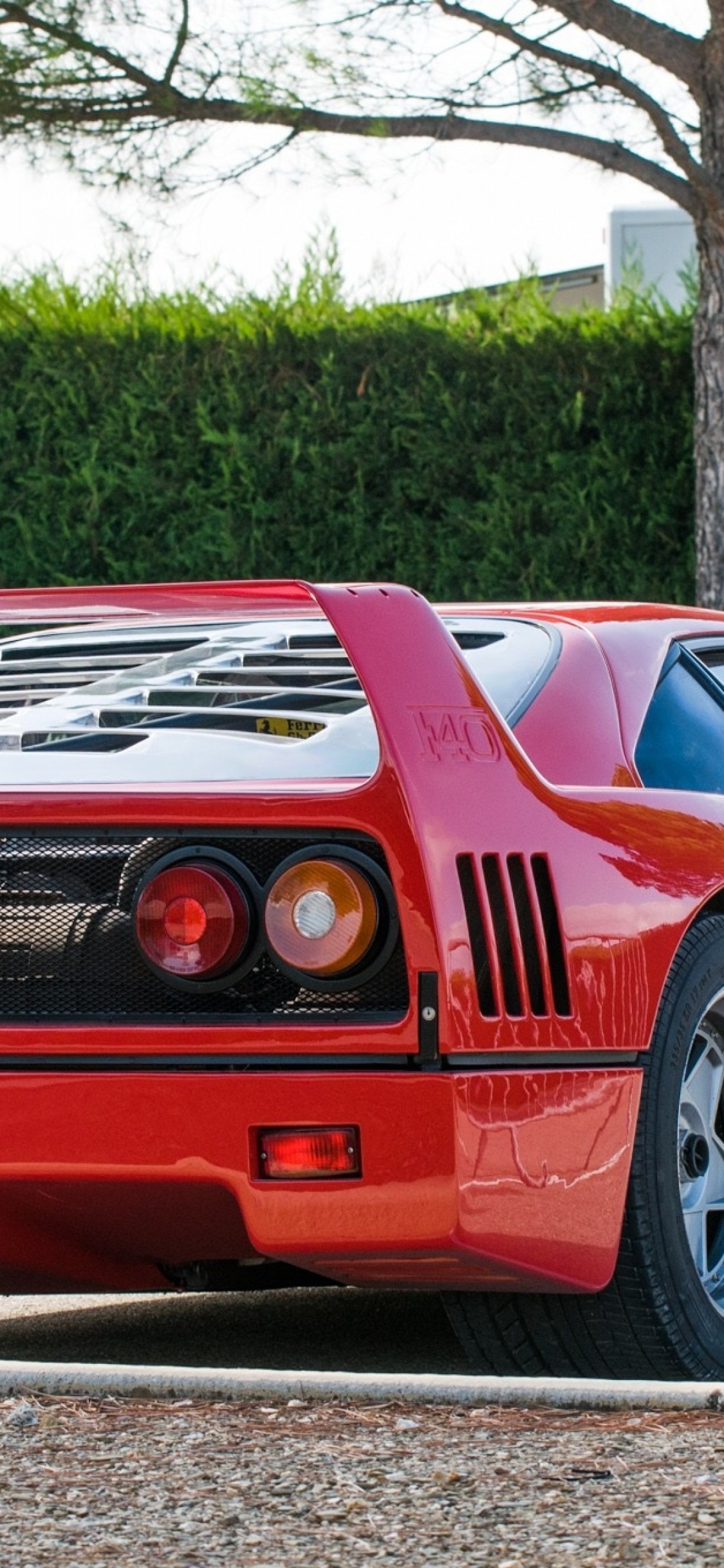Ferrari F40, Back View, Red, Sport, Cars - Iphone X Wallpaper Ferrari F40 - HD Wallpaper 