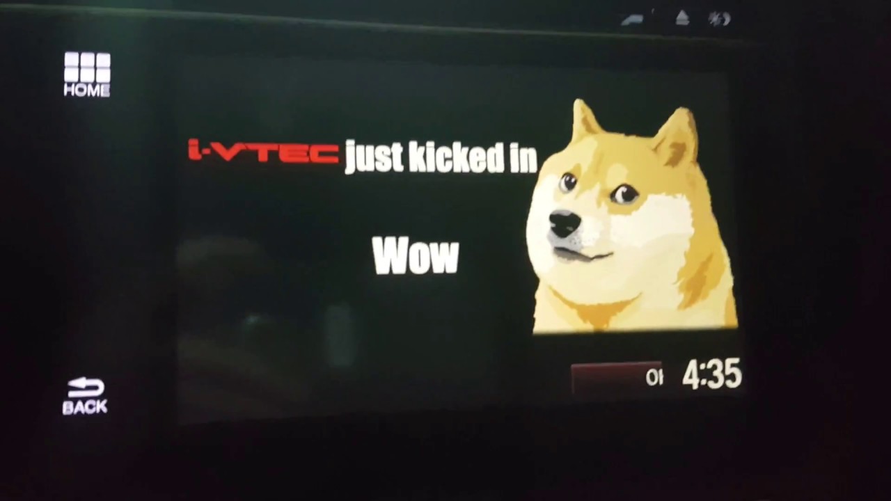 Shiba Inu - HD Wallpaper 