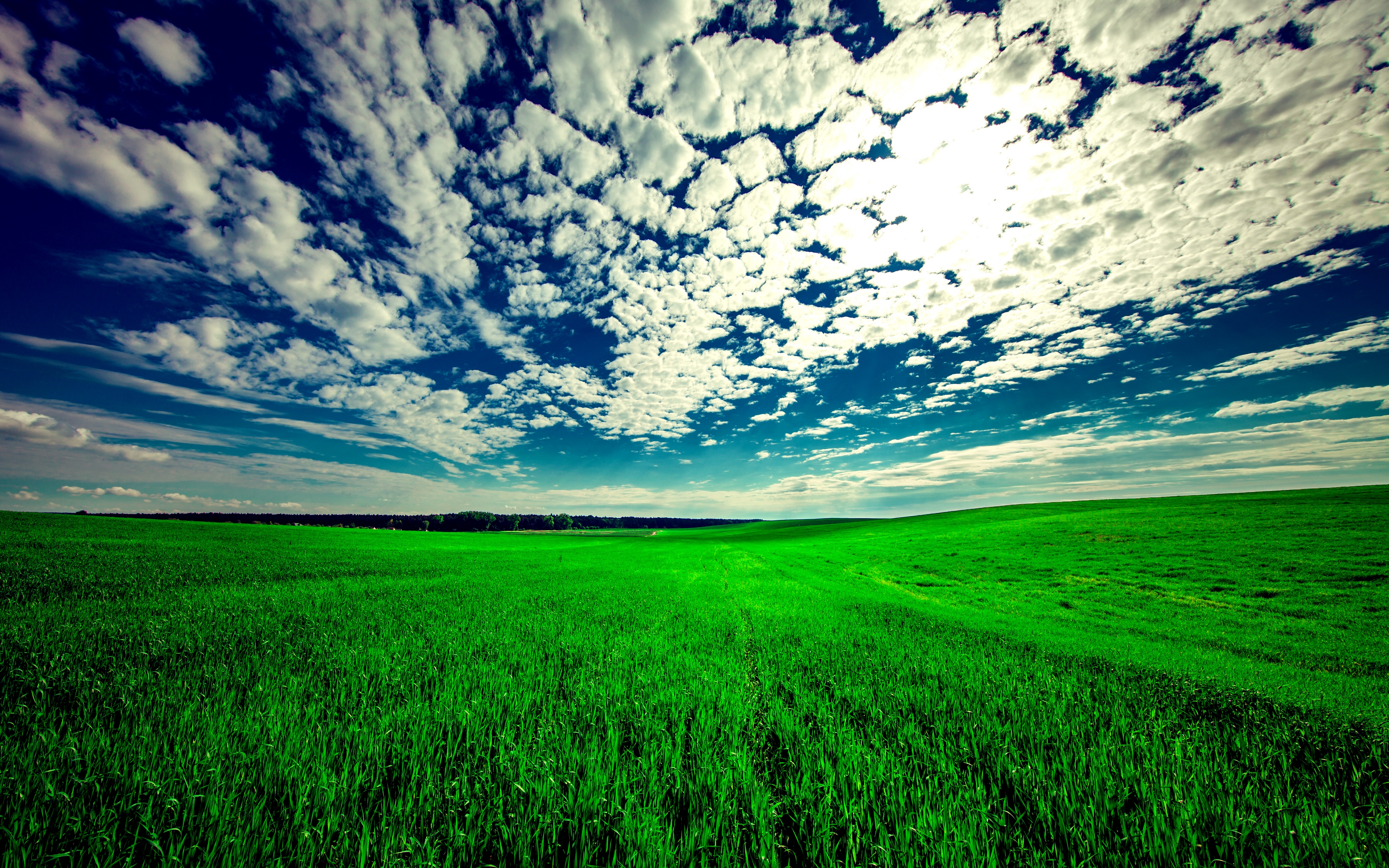 Wallpaper Field, Sky, Grass, Clouds, Green, Summer - Green Field Background  4k - 3840x2400 Wallpaper 