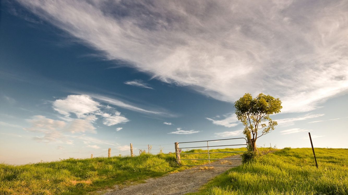 Field And Sky - HD Wallpaper 