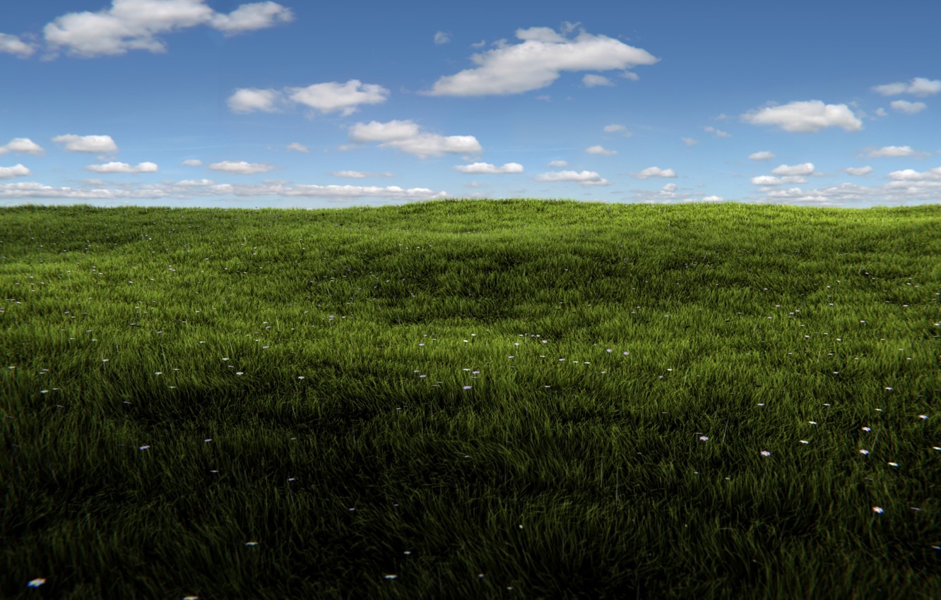 Photo Wallpaper Greens, Field, Summer, The Sky, Grass, - Provision At North Valentine Hurst Tx - HD Wallpaper 
