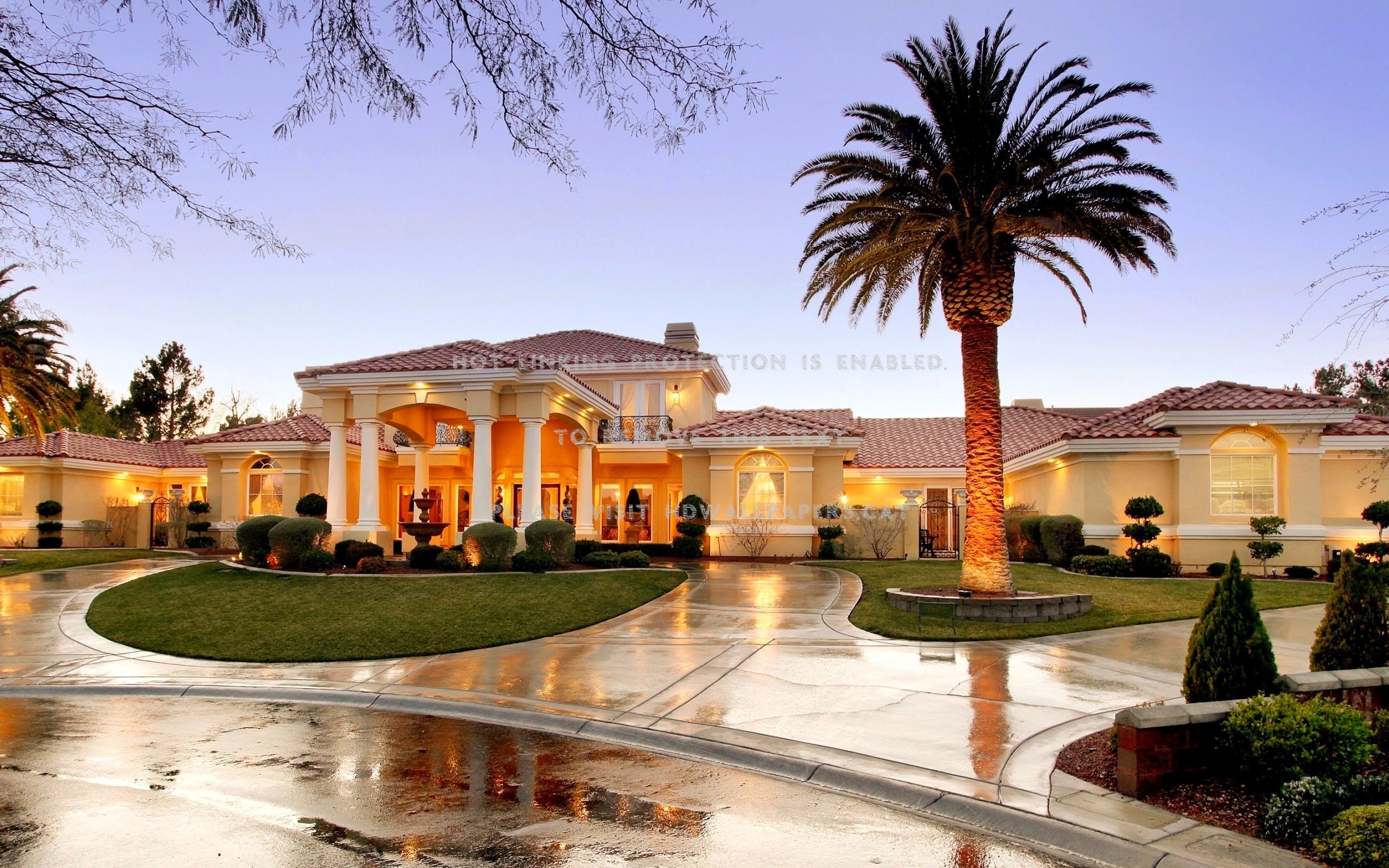 Wealth House Luxury Palm Trees Home Garden - Mansion Beautiful House In The World - HD Wallpaper 