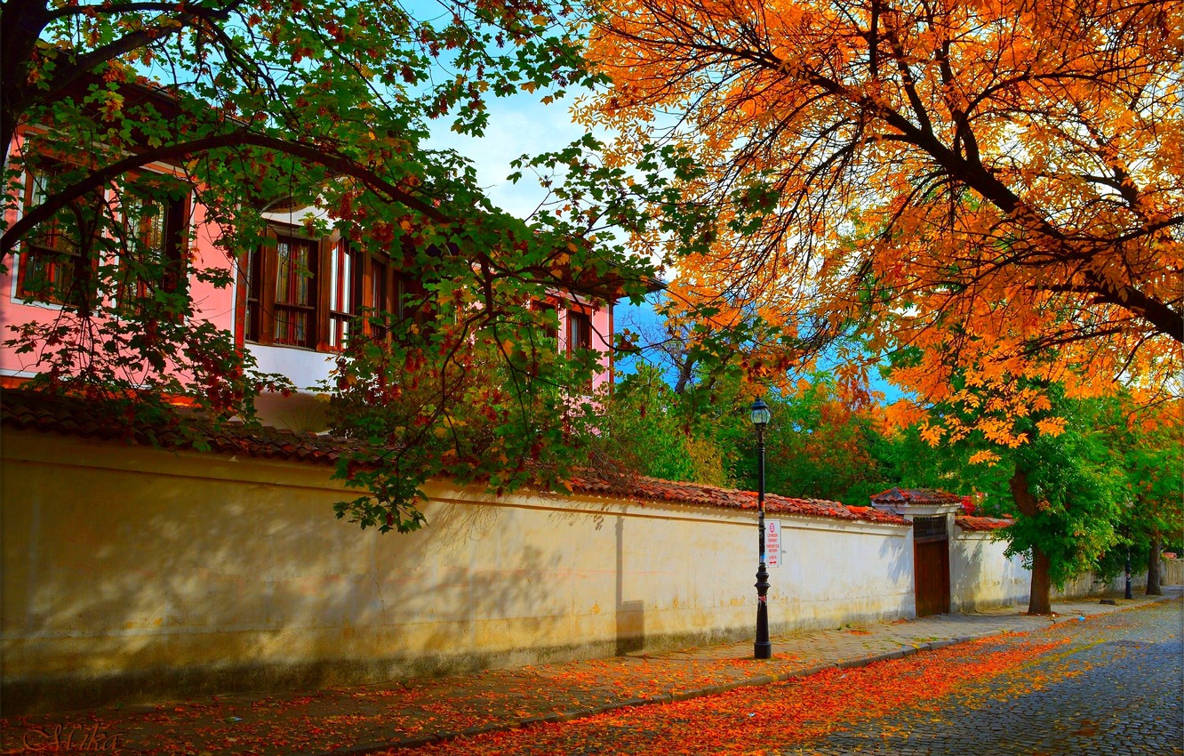 Photo Wallpaper The City, Autumn, House, Street, House, - Maple - HD Wallpaper 