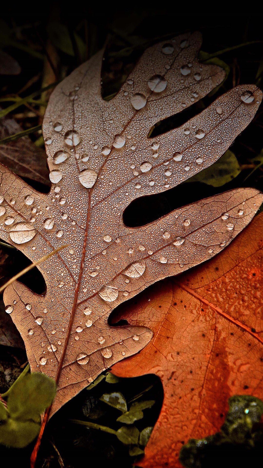 Zte Axon 7 Stock - HD Wallpaper 