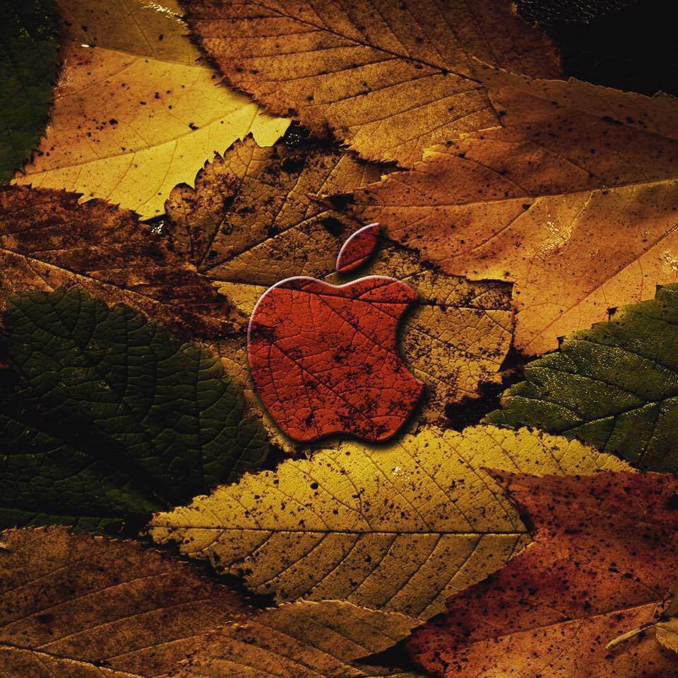 Apple Fall Background Iphone - HD Wallpaper 