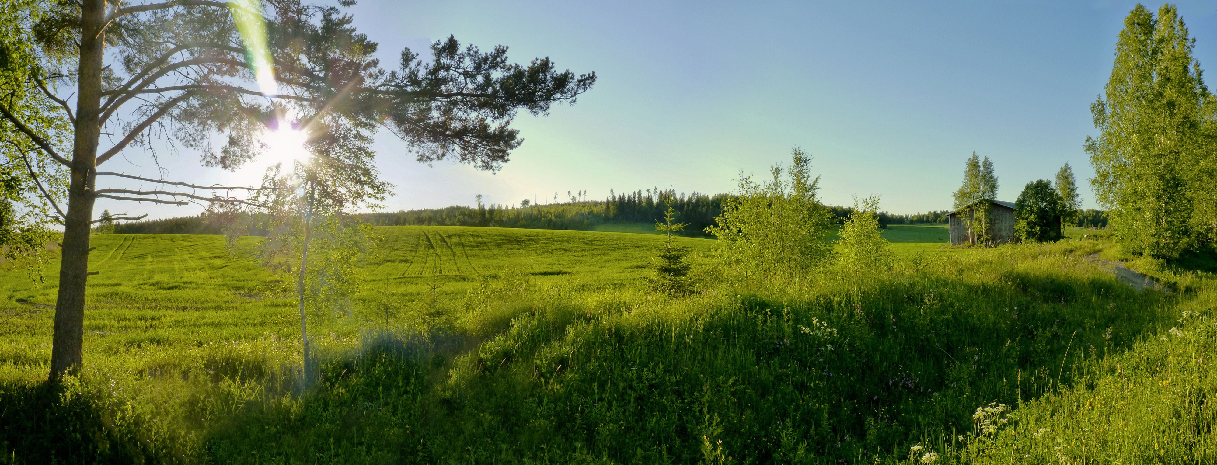 Green Fields Of Summer, Finland - Summer Finland - HD Wallpaper 