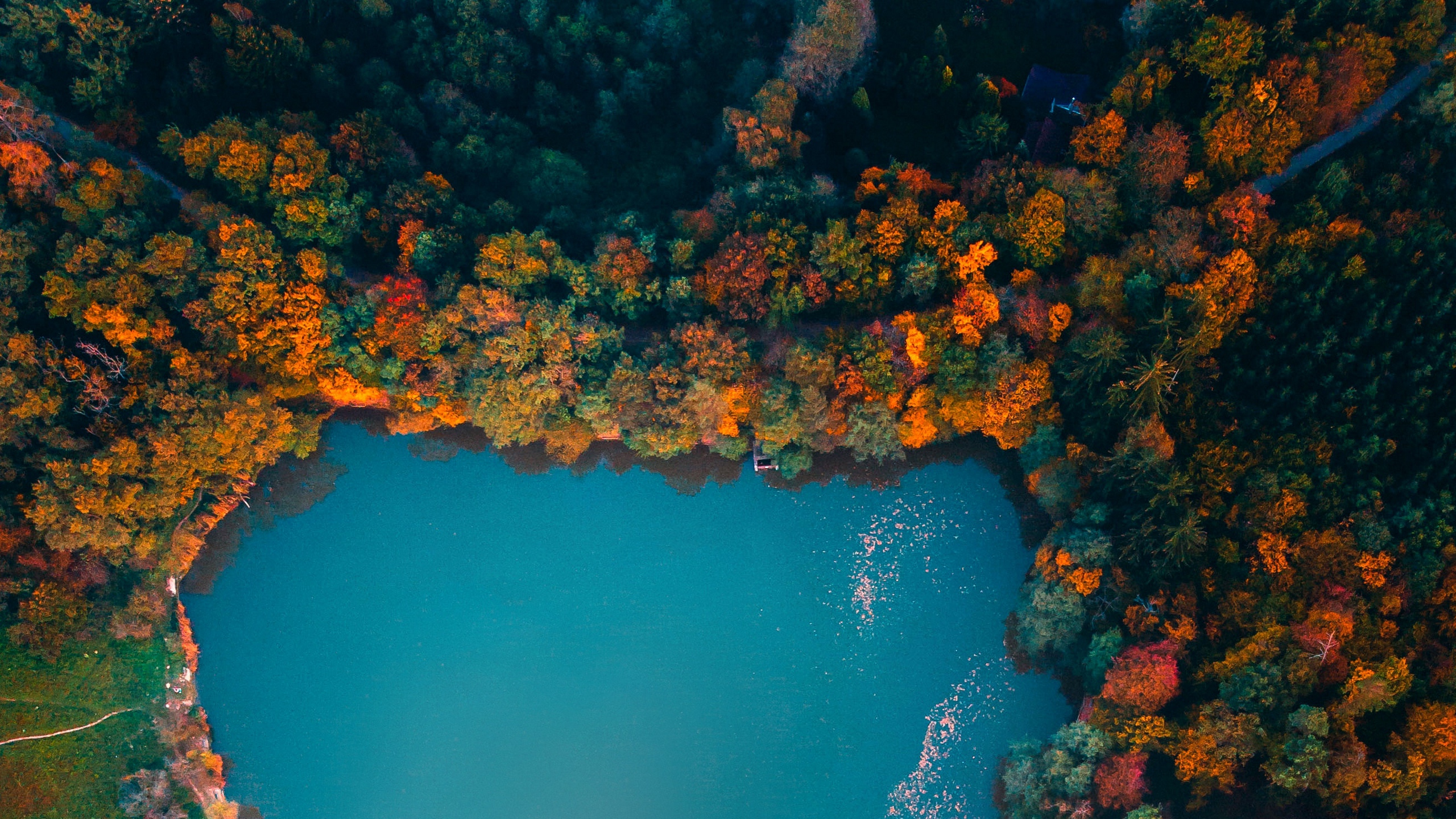 Wallpaper Lake, Trees, Aerial View, Autumn, Hungary - Lake Water From Above - HD Wallpaper 