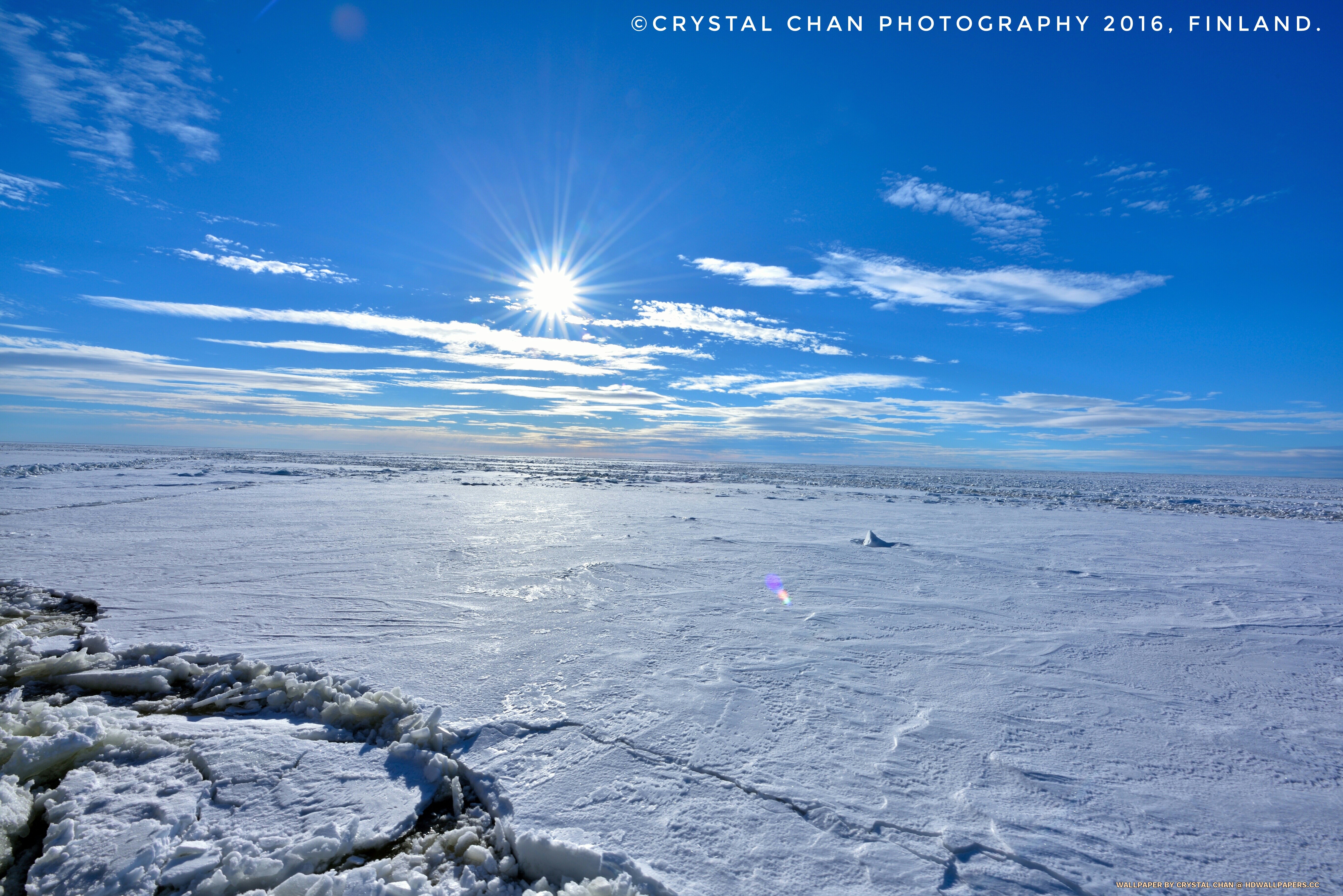 Snow - HD Wallpaper 