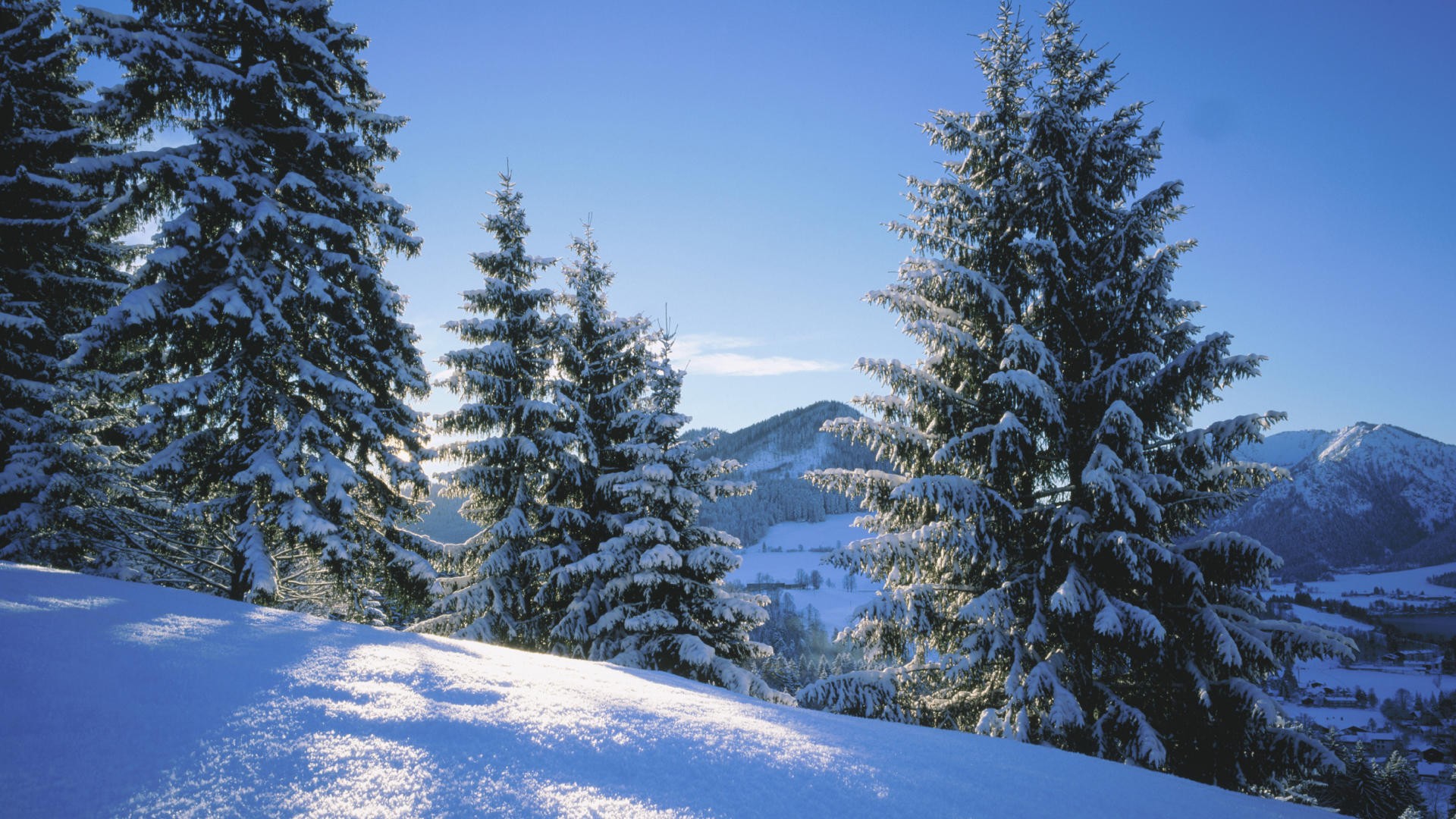 Nature Free High Resolution Background - HD Wallpaper 