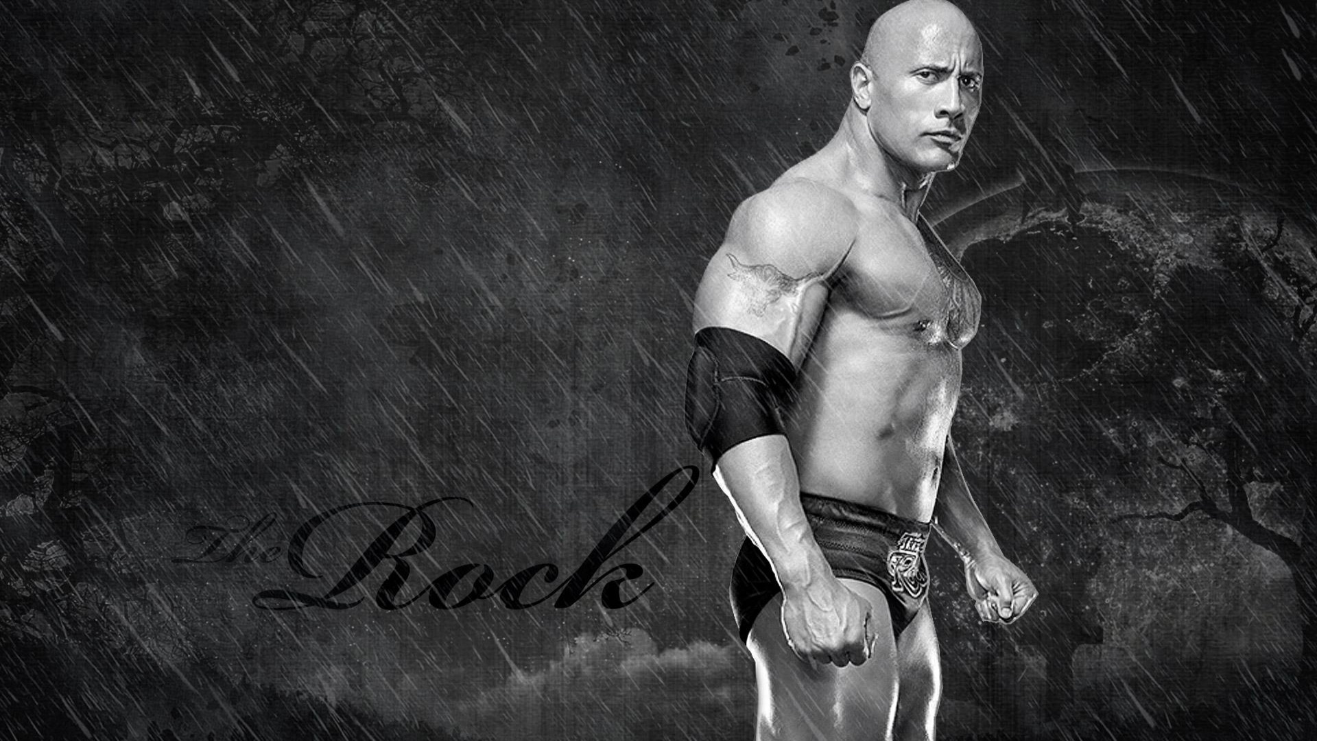 Dwayne Johnson - HD Wallpaper 