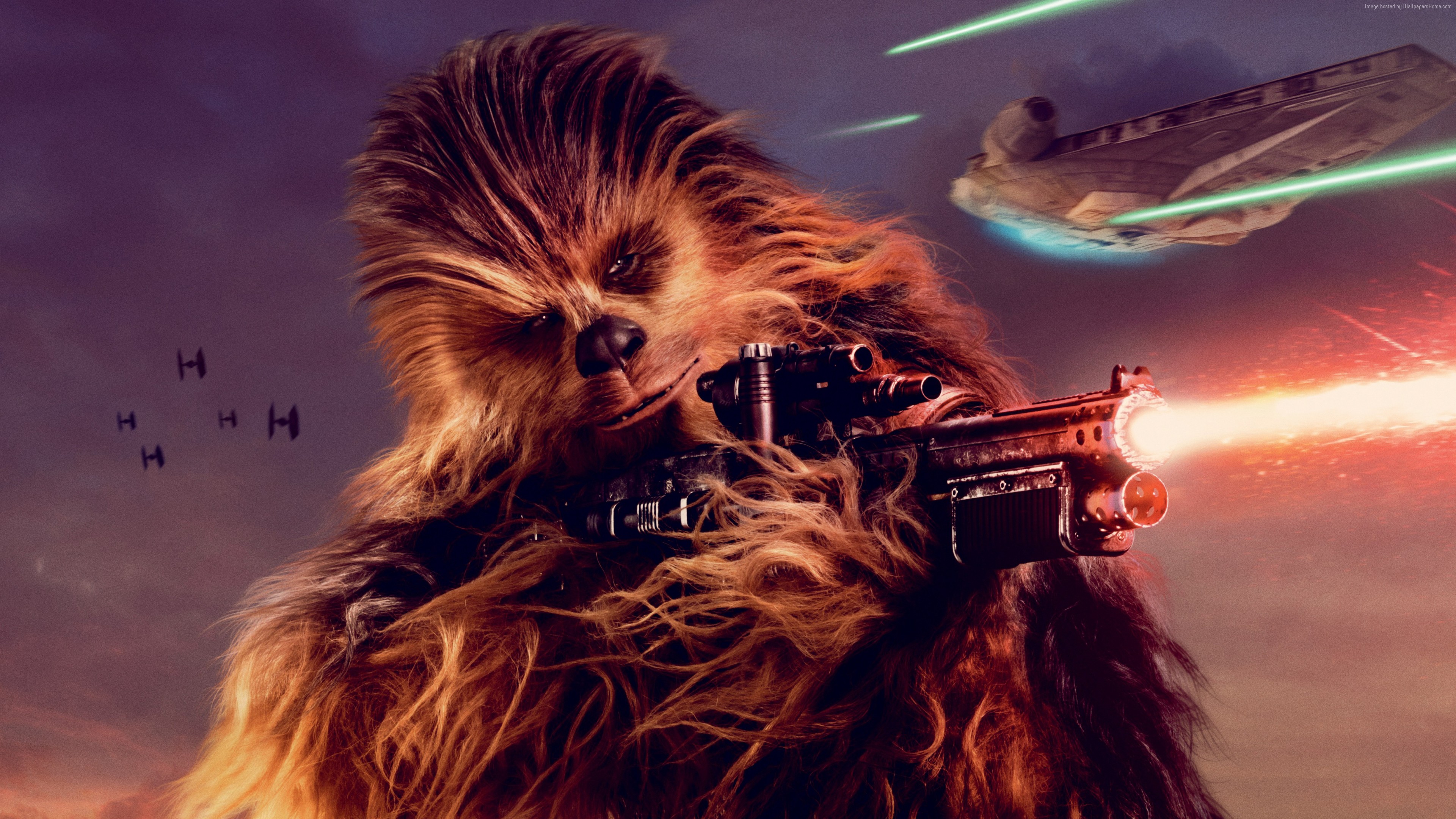 A Star Wars Story, Chewbacca, 4k, 5k, Movies - Star Wars Chewbacca - HD Wallpaper 
