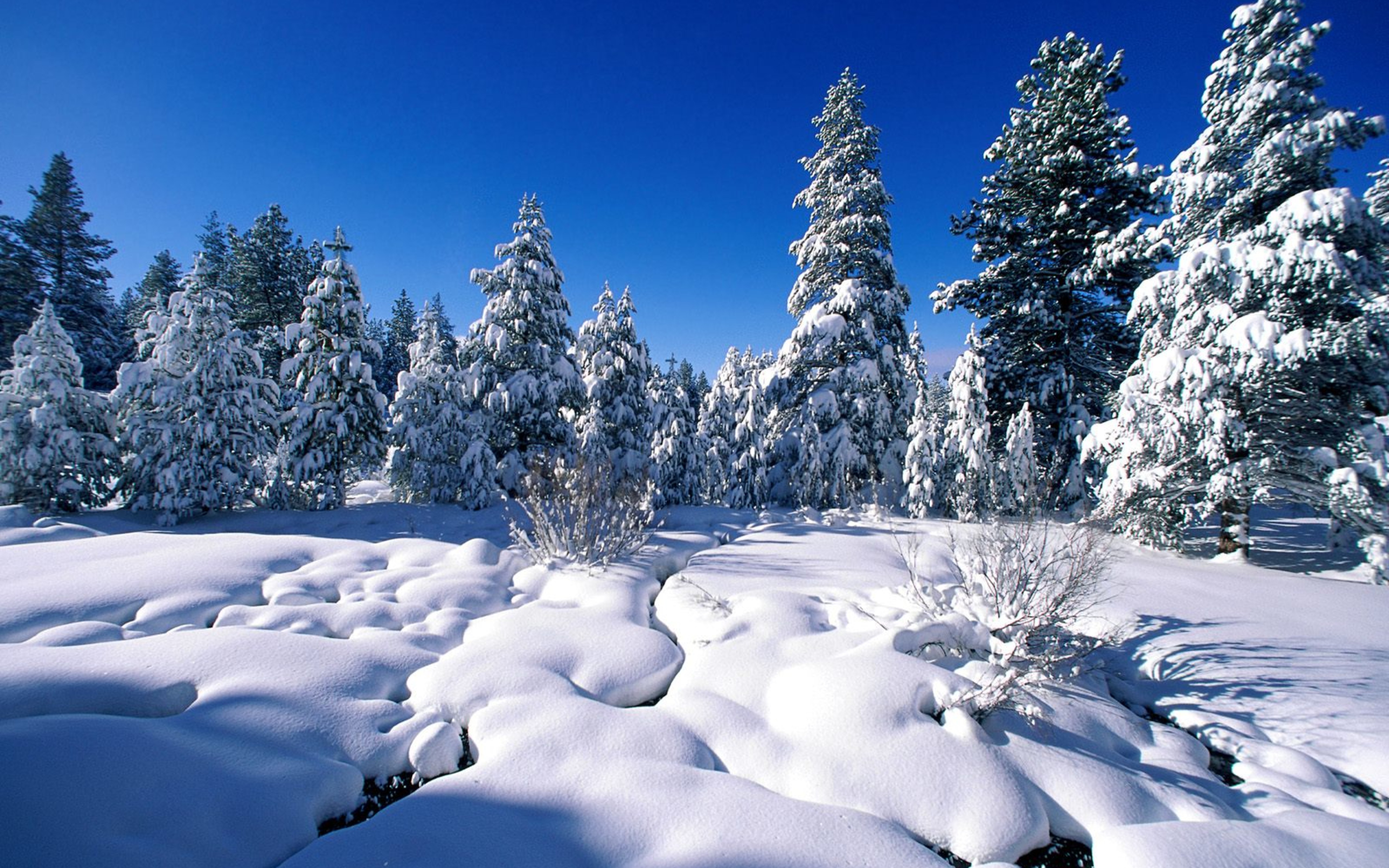 High Resolution Wallpaper Winter Wonderland - Winter Wallpaper Big - HD Wallpaper 