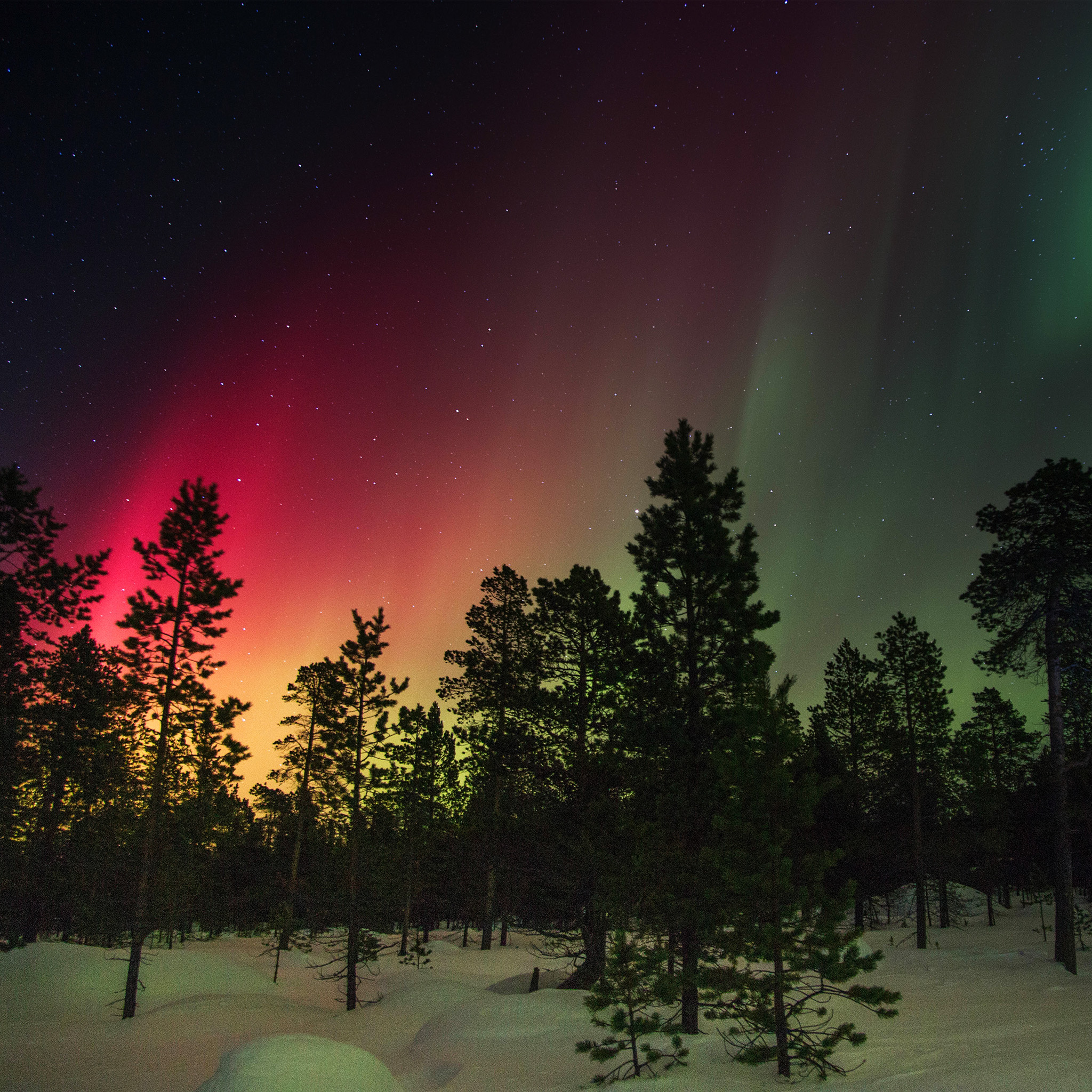 Nature Night Winter Christmas - HD Wallpaper 