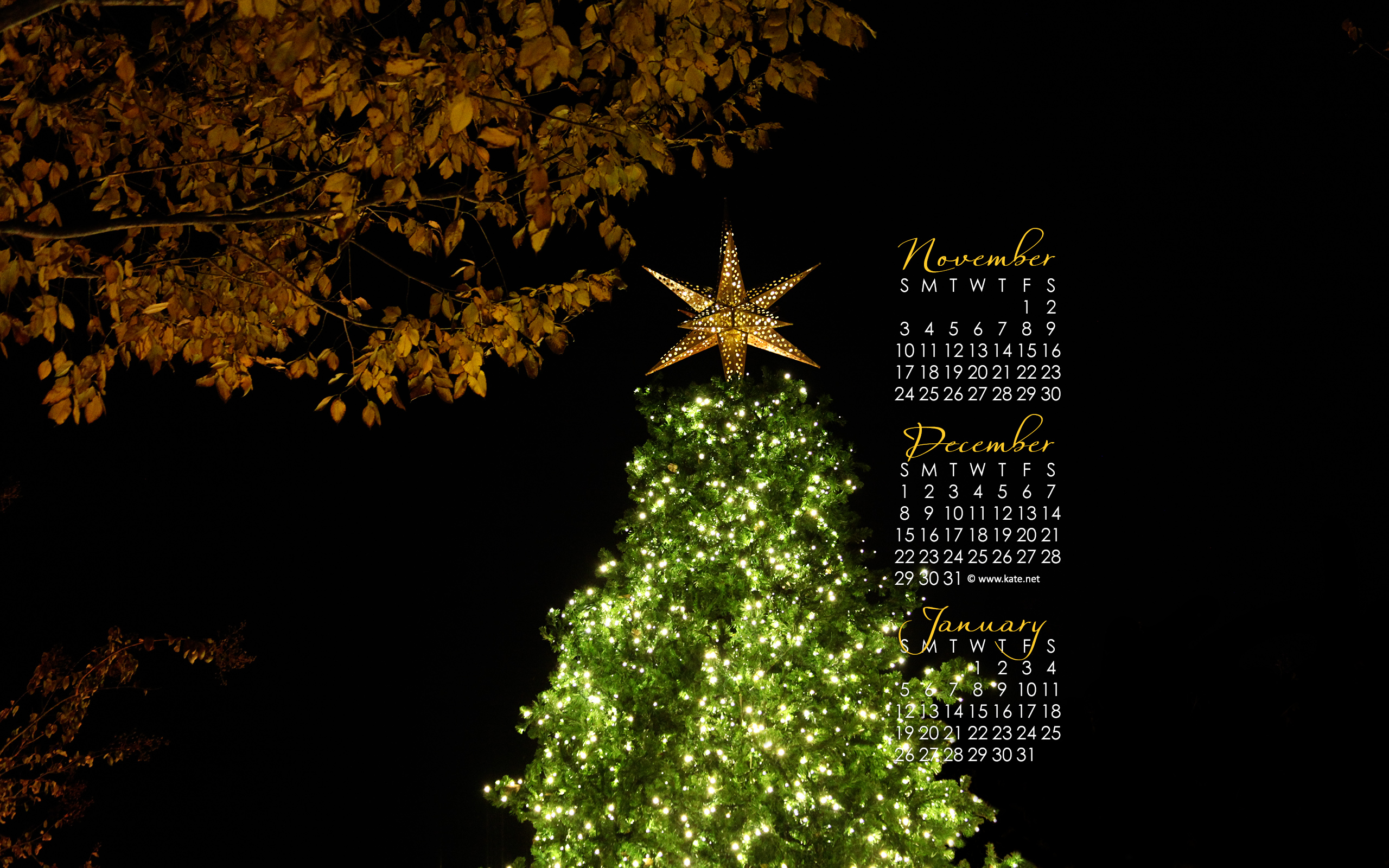 Christmas Tree - HD Wallpaper 