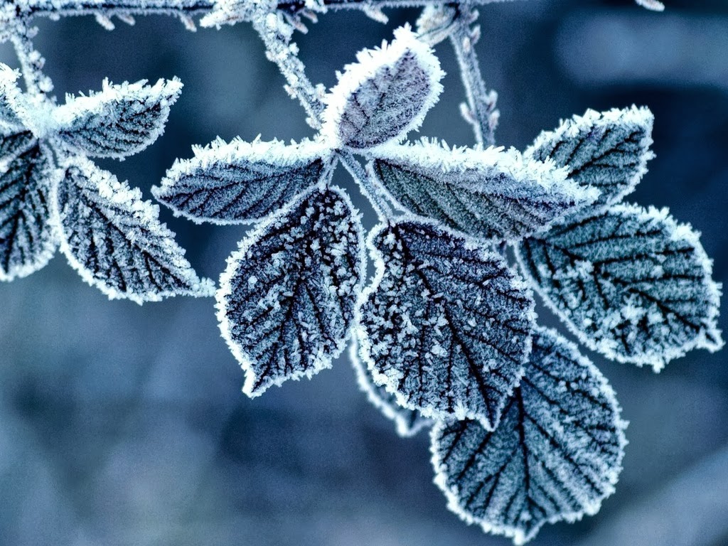 Winter Wallpapers For Tabs - HD Wallpaper 