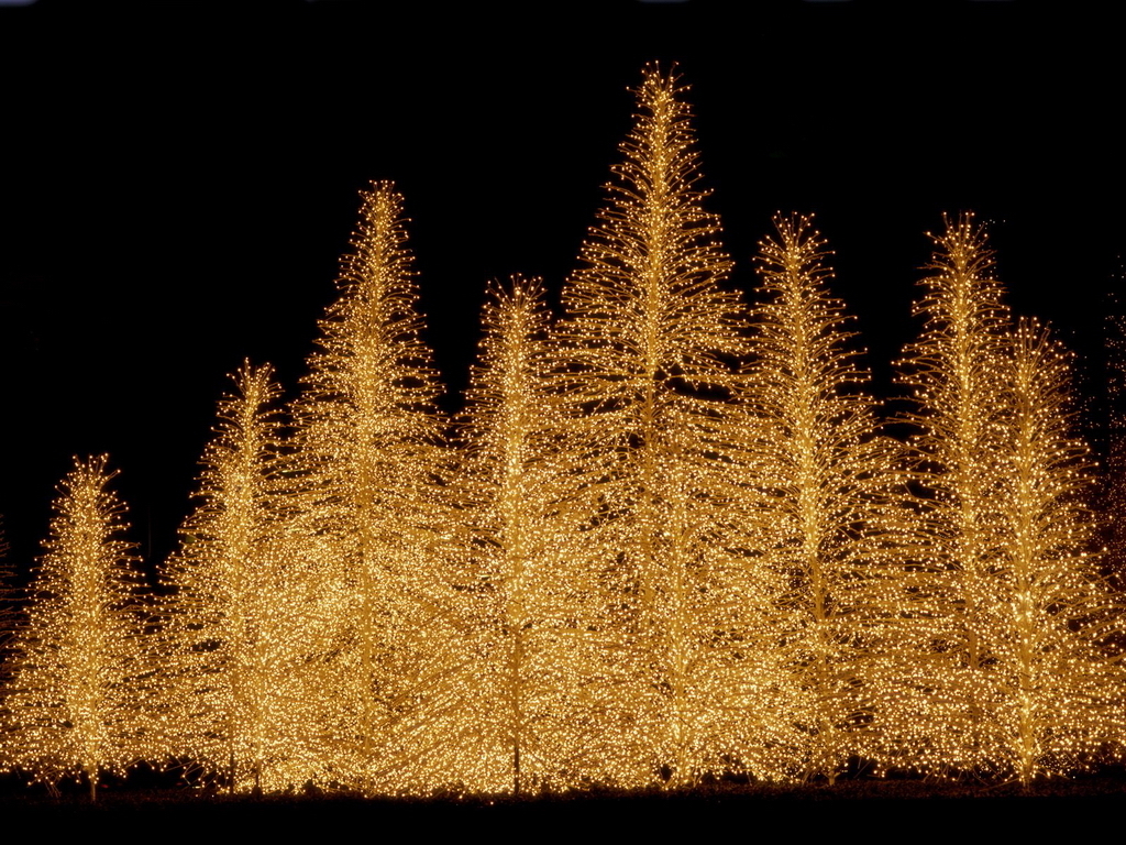 Christmas Time - HD Wallpaper 