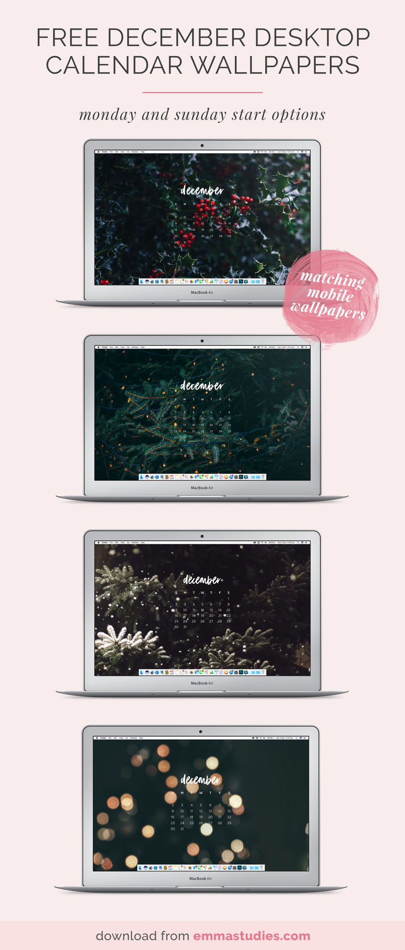 Emmastudies Nature - HD Wallpaper 