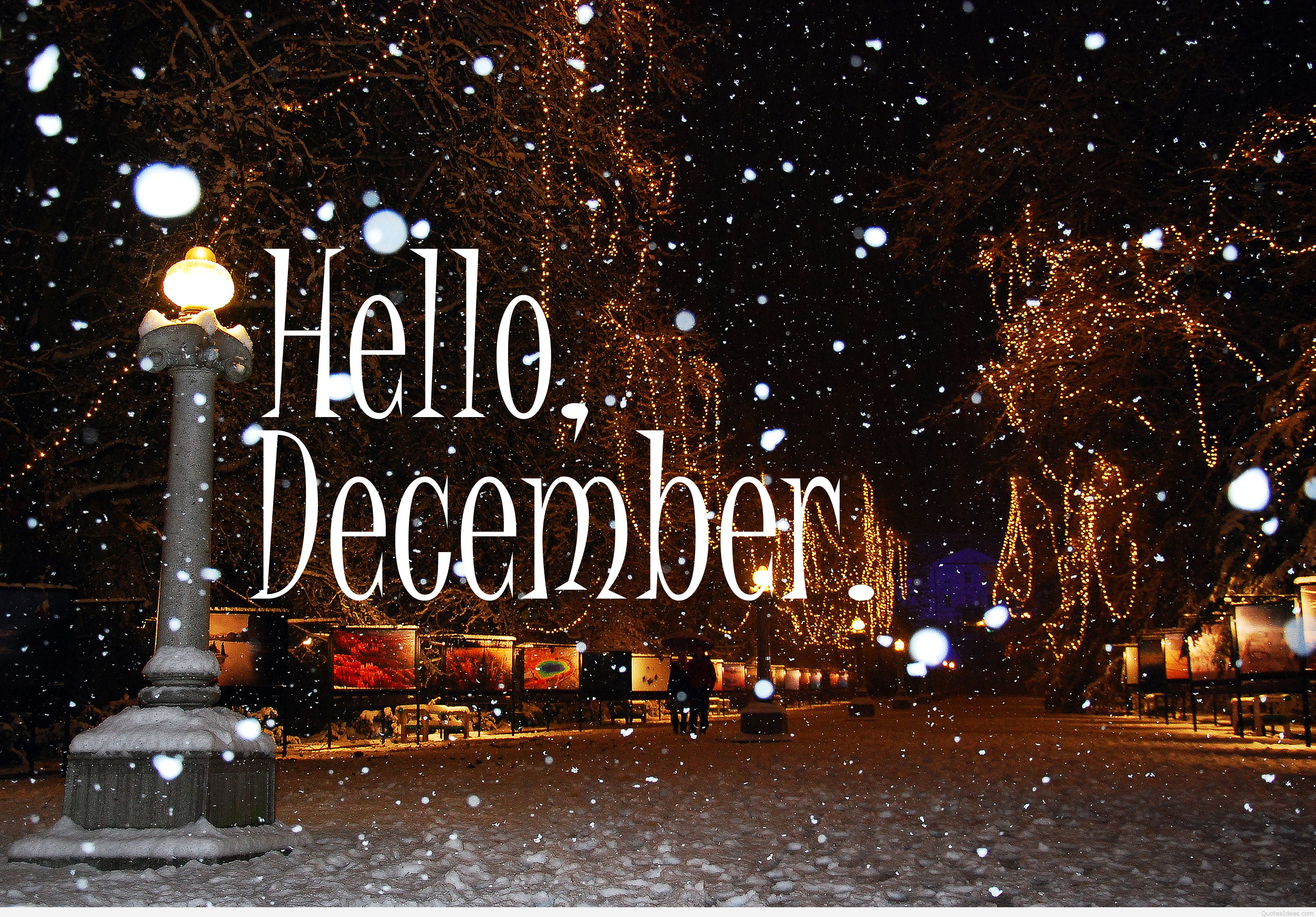 Hello December Pictures-3 - Hello December - HD Wallpaper 